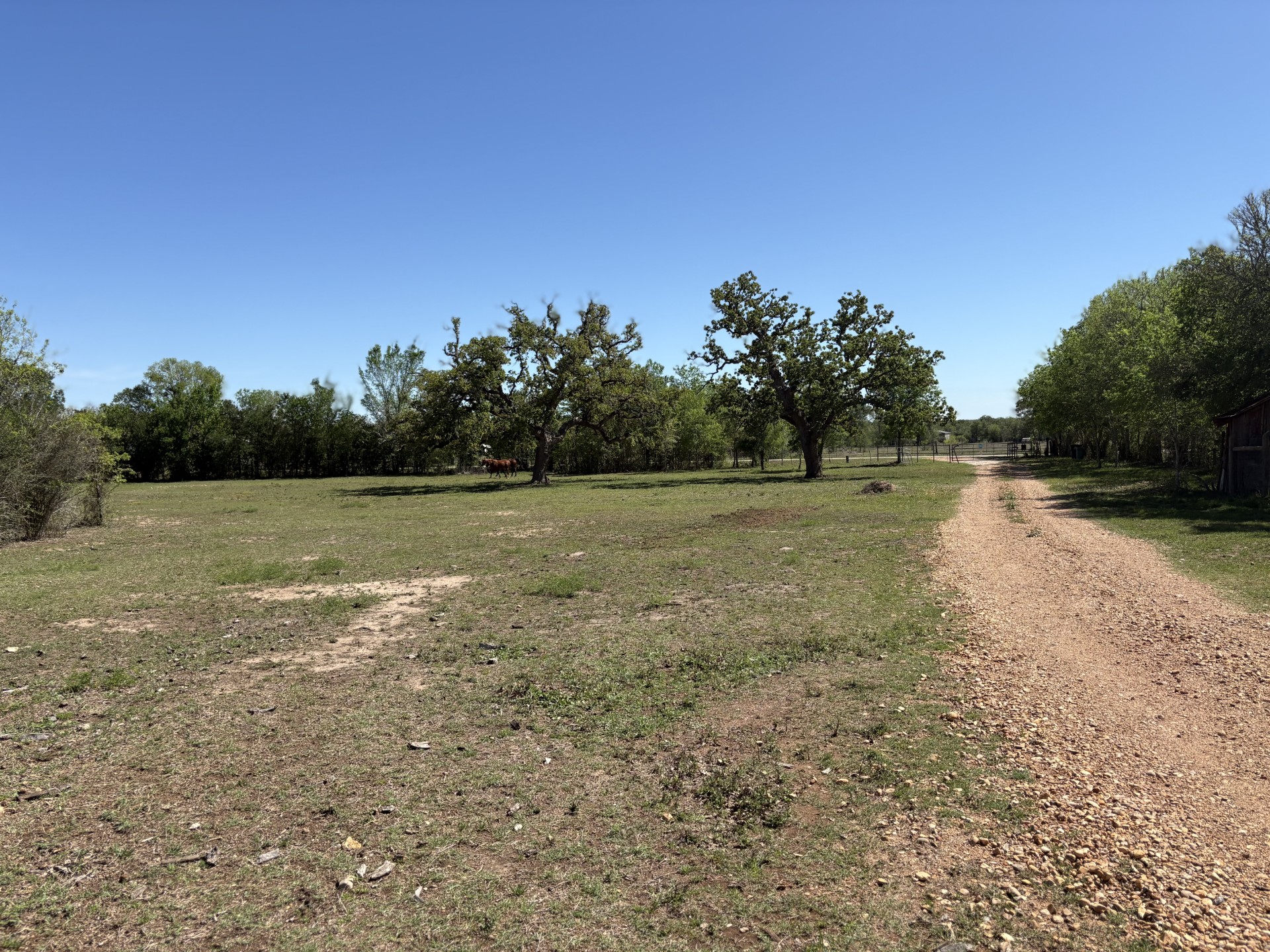 main property photo 7