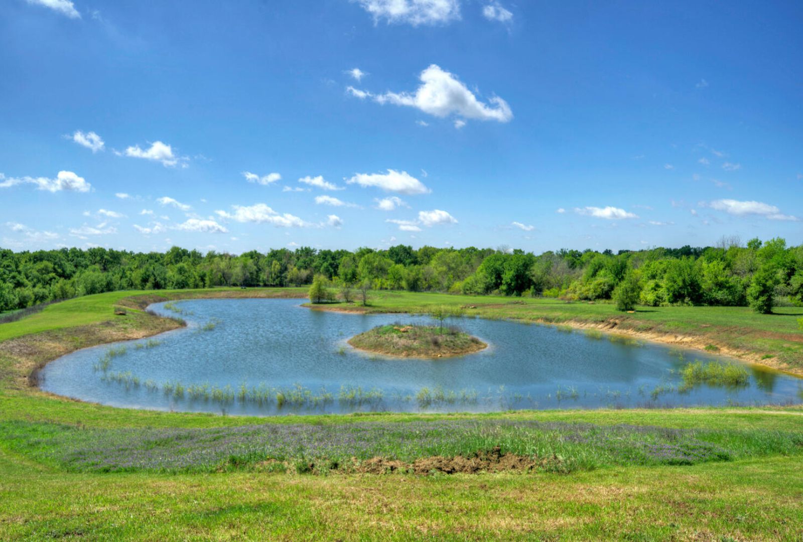 main property photo 26