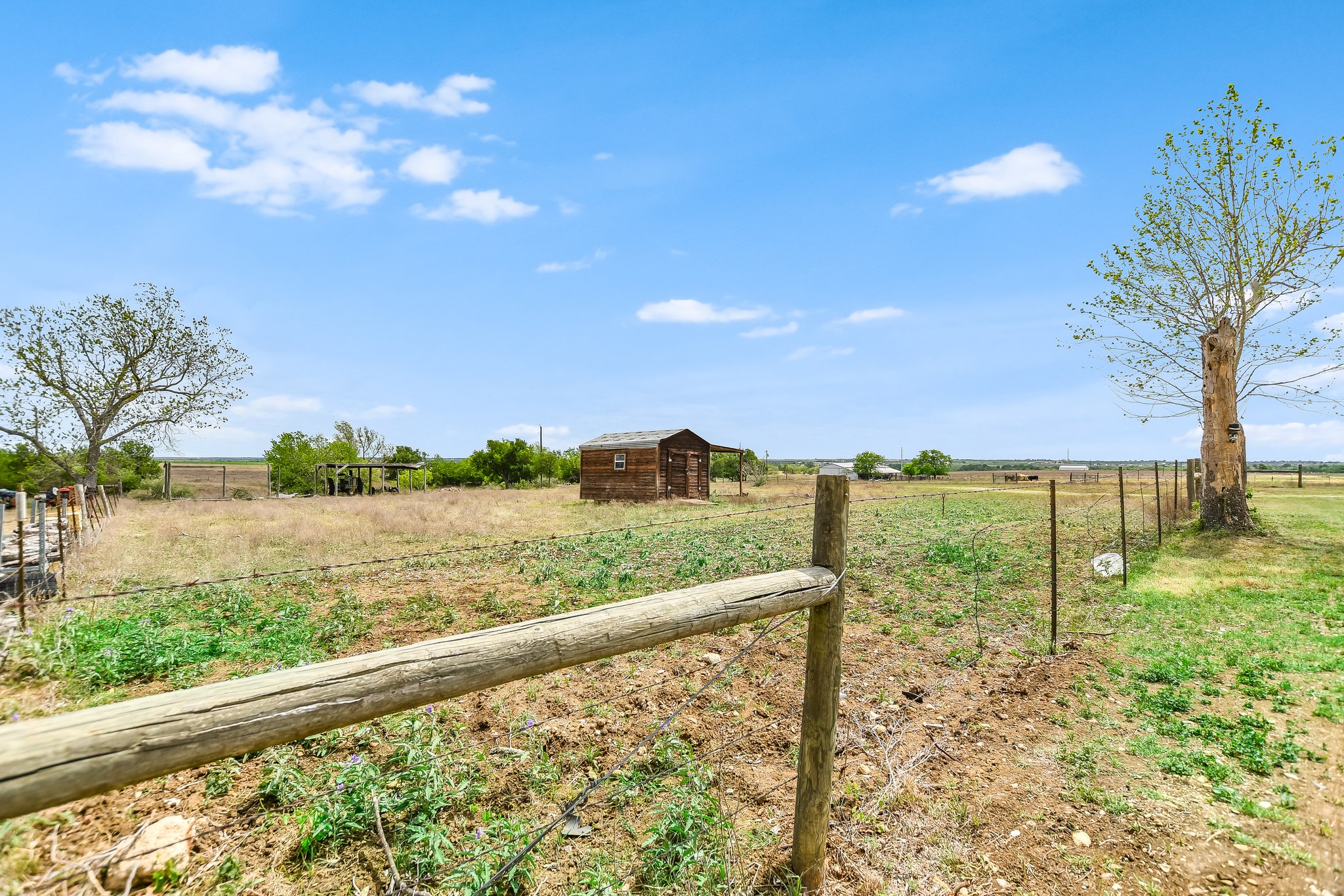main property photo 33