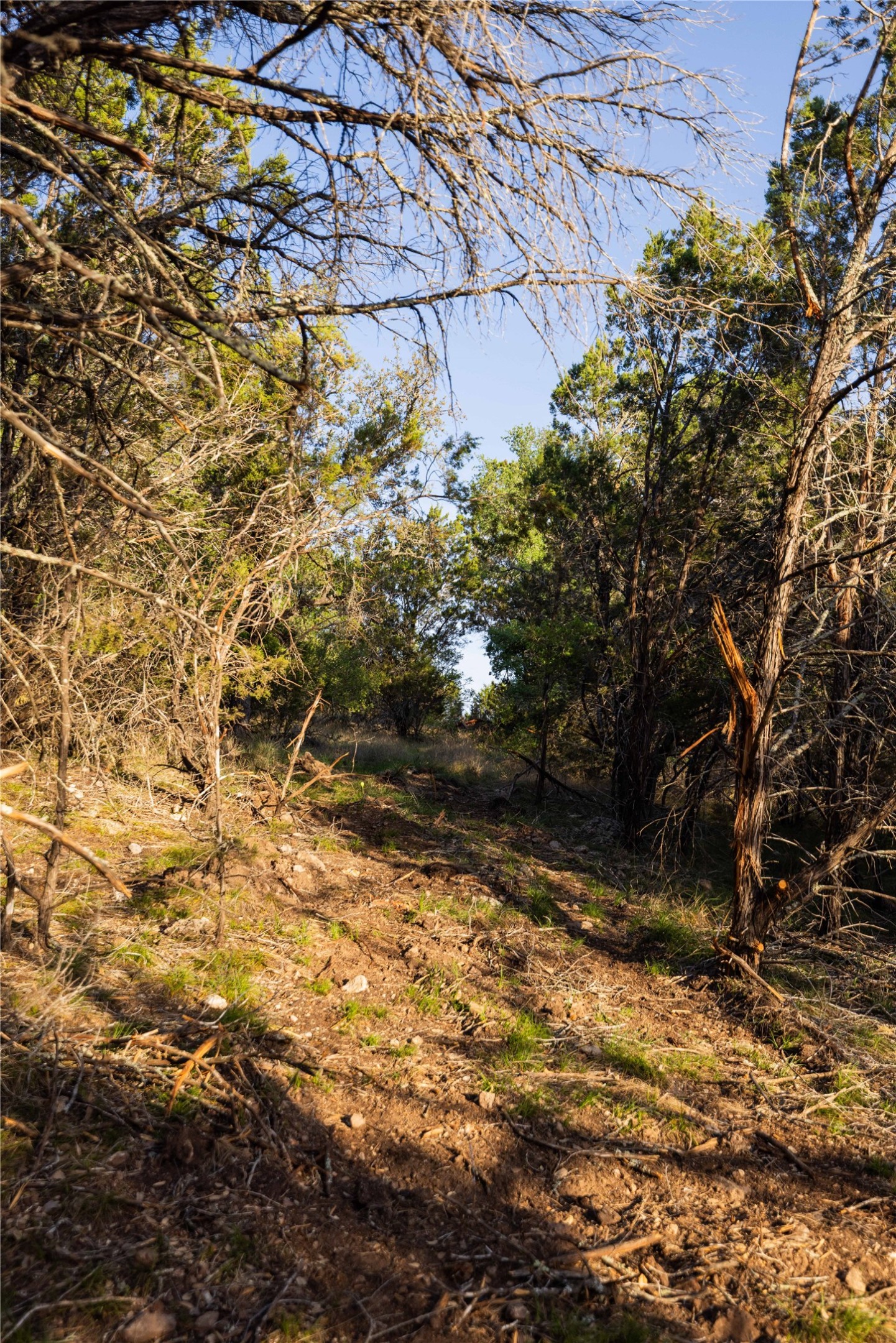 main property photo 8