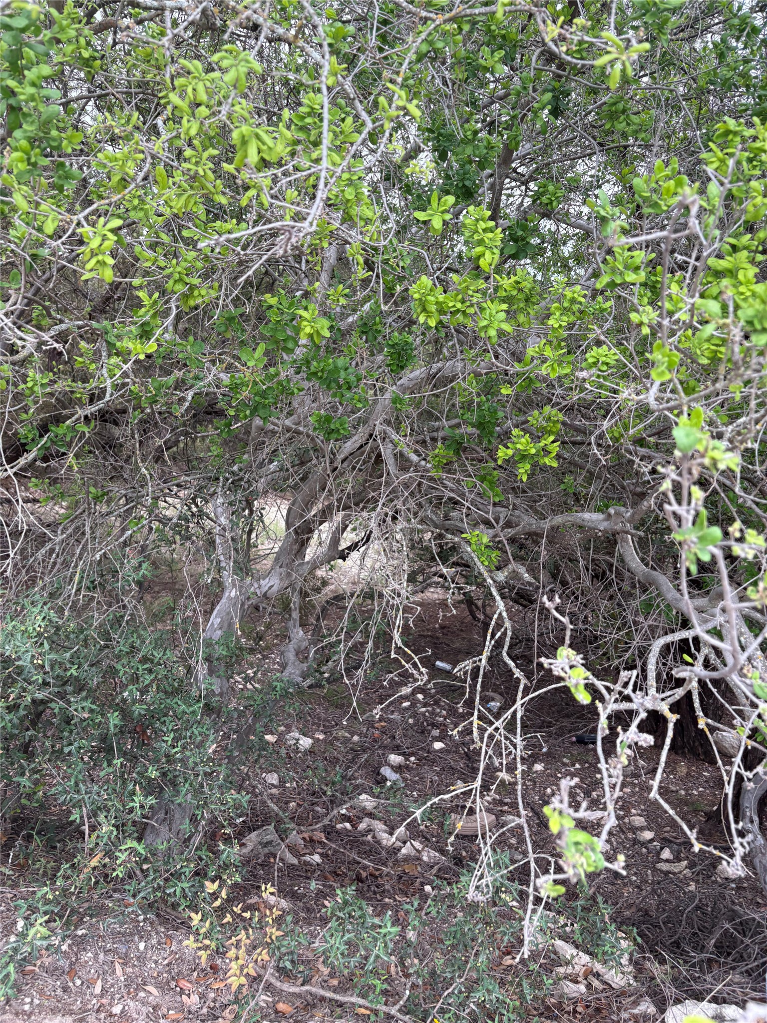 main property photo 6