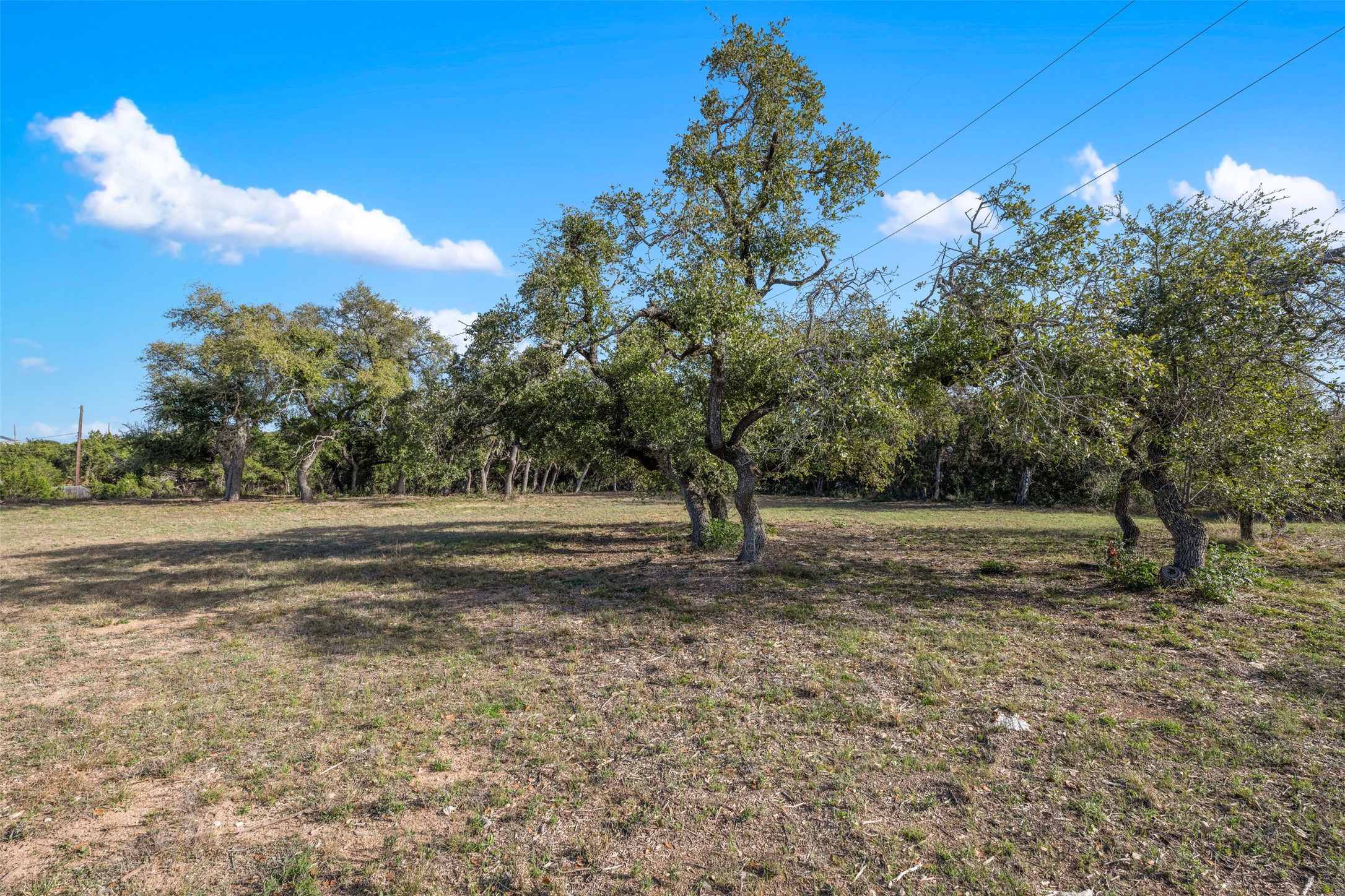main property photo 11