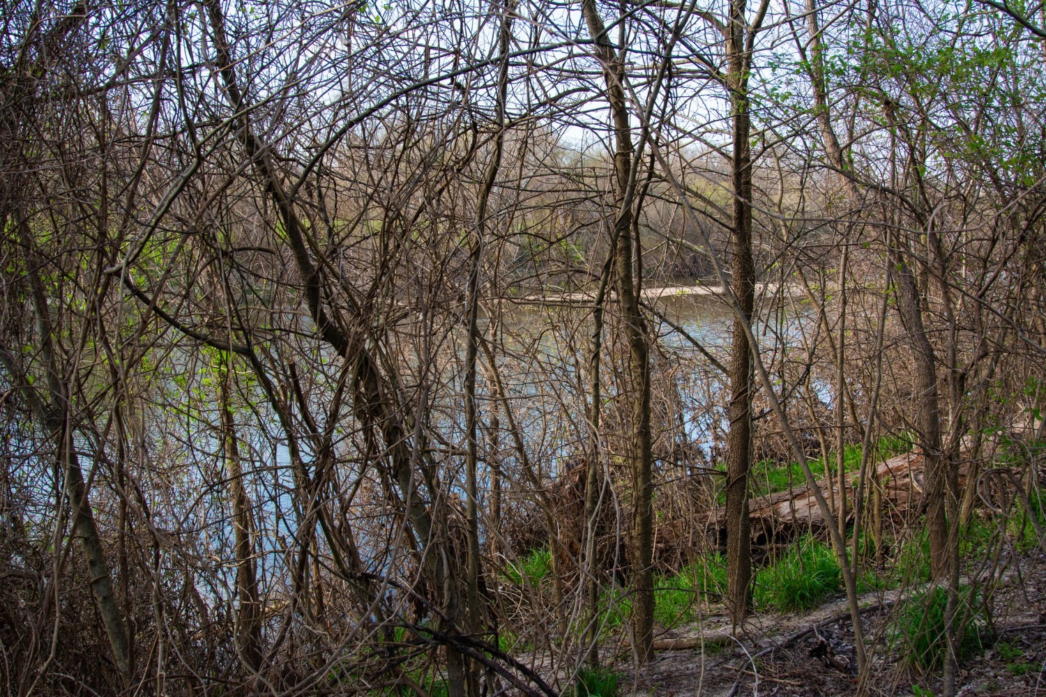 main property photo 30