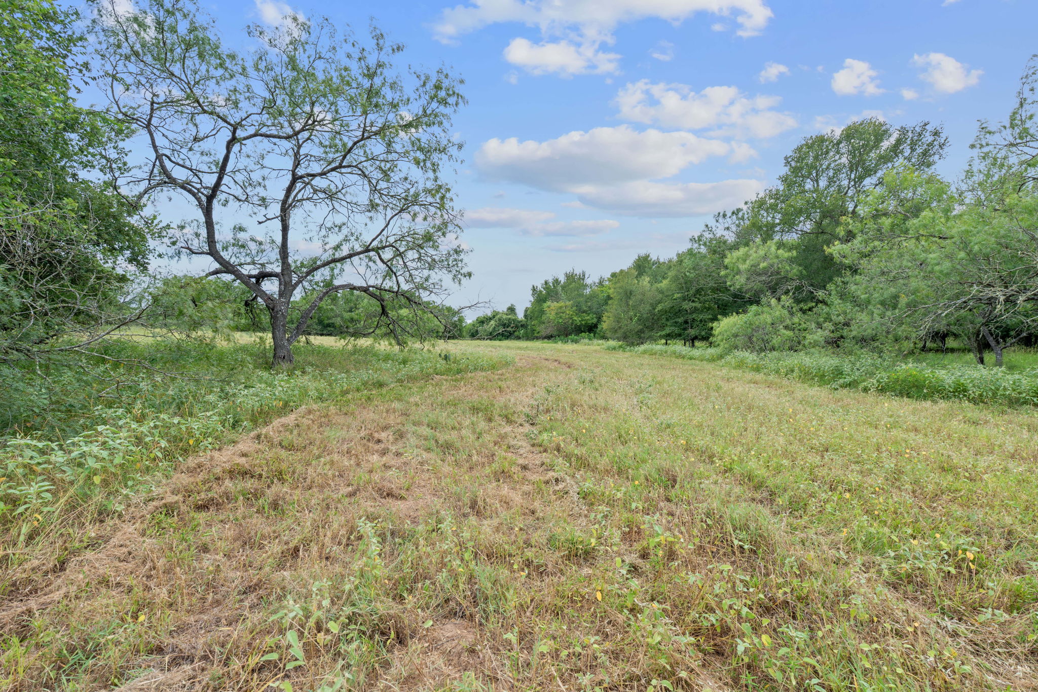 main property photo 24