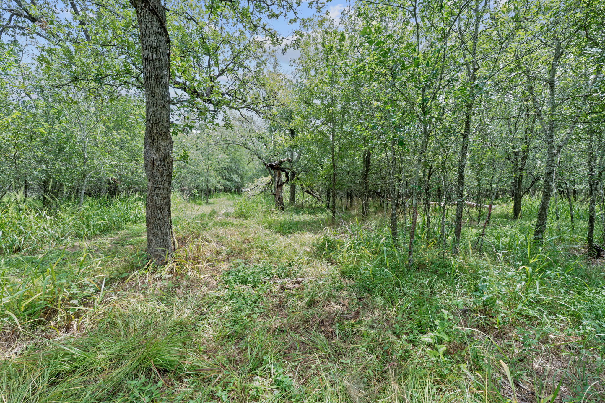 main property photo 36