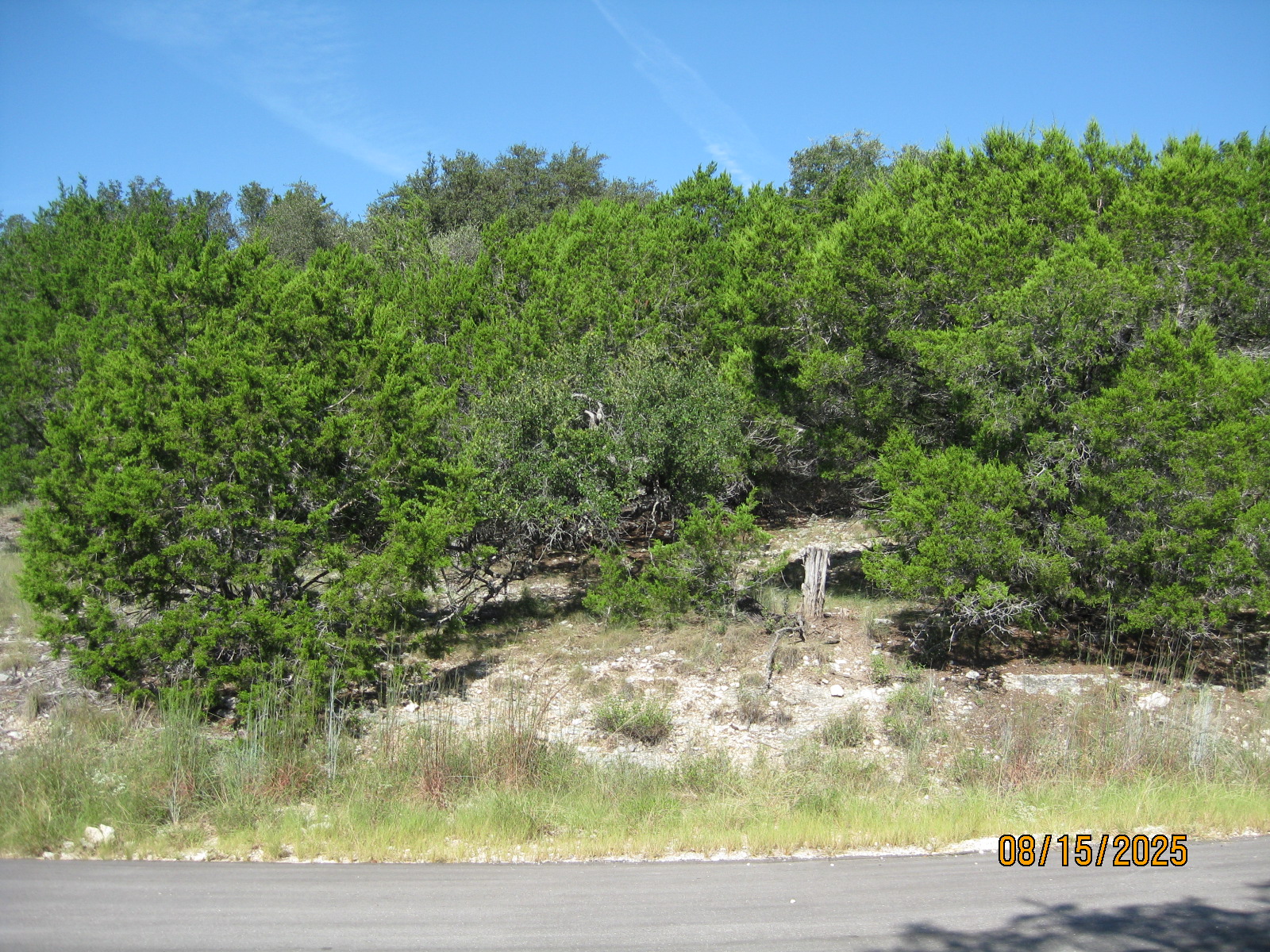 main property photo 0