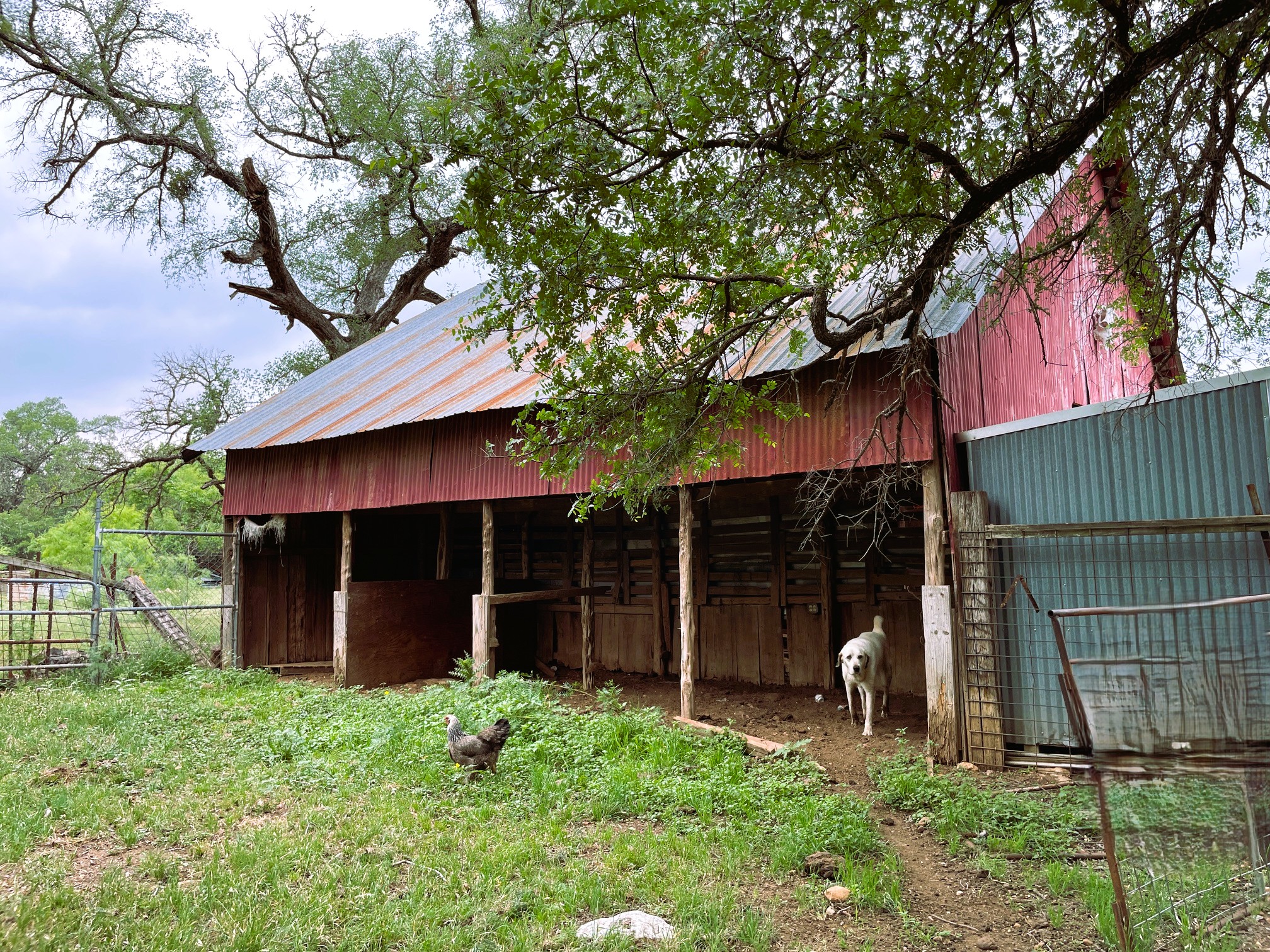 main property photo 6