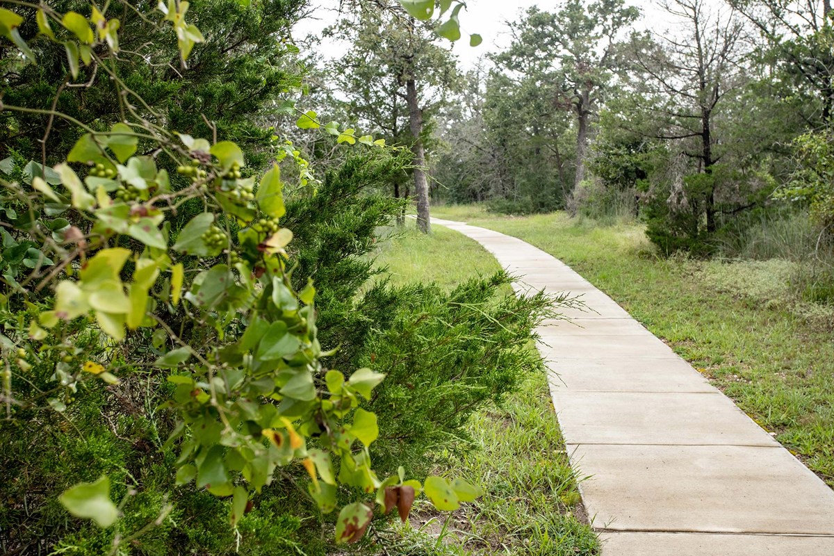 main property photo 29