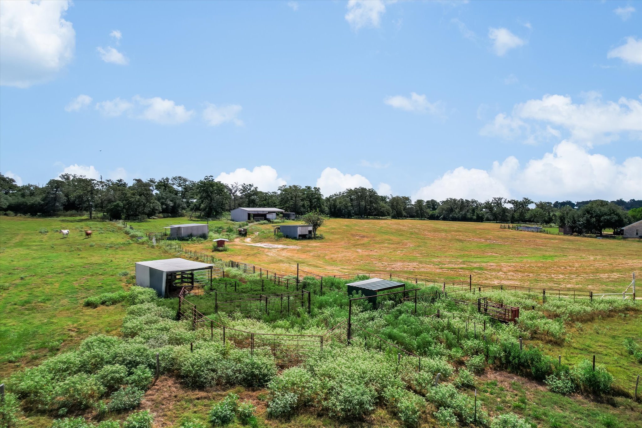 main property photo 25