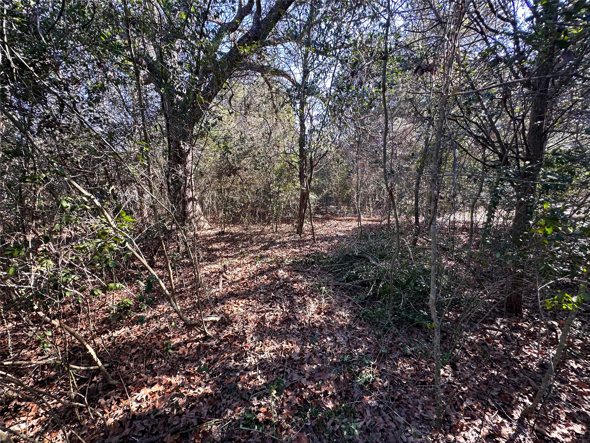 main property photo 8