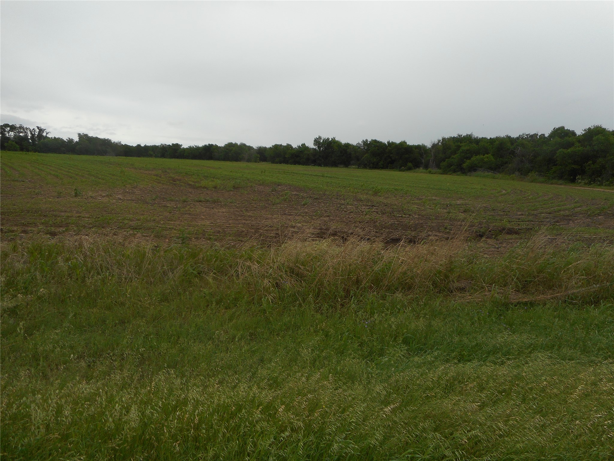 main property photo 15