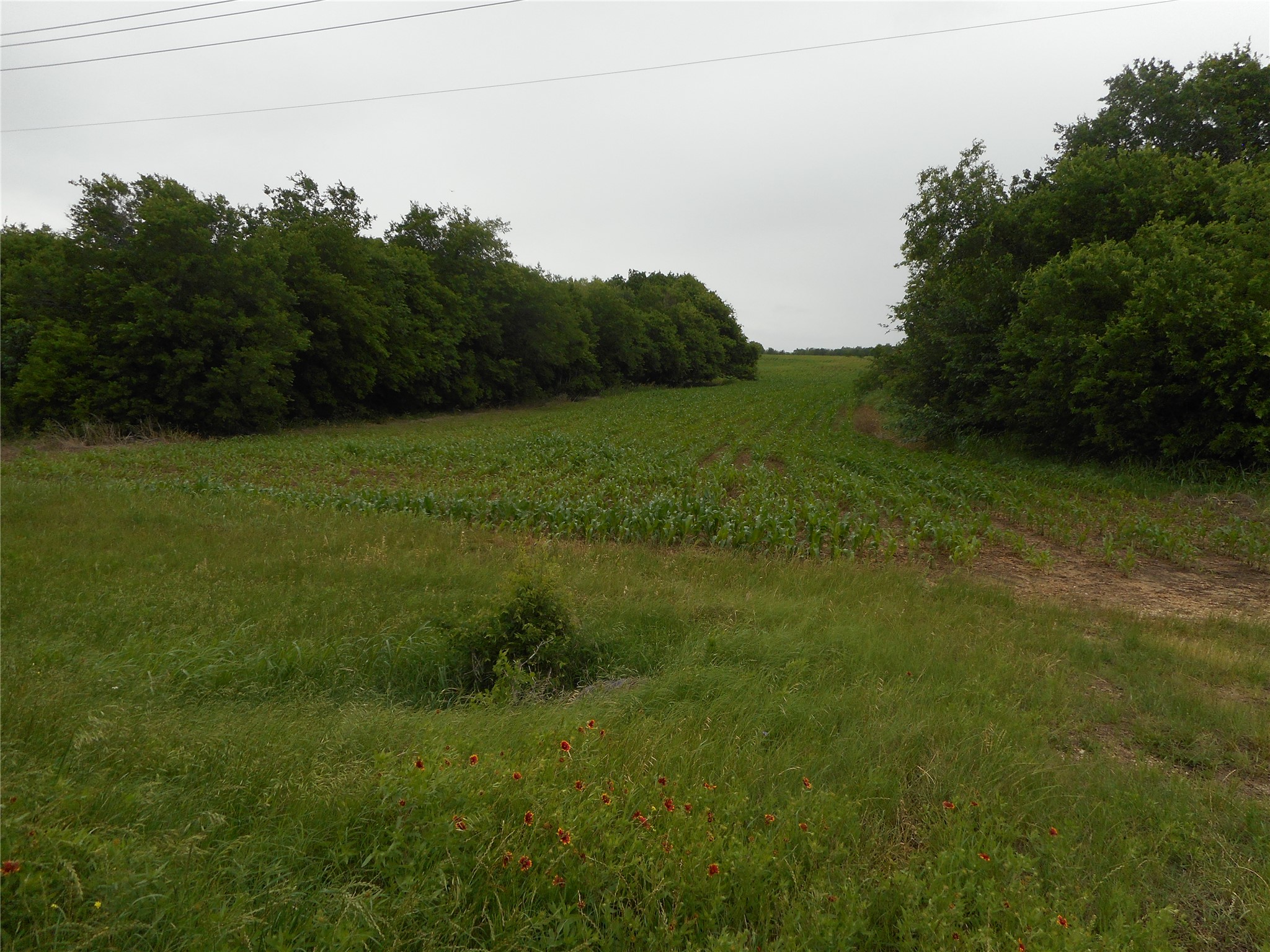main property photo 9