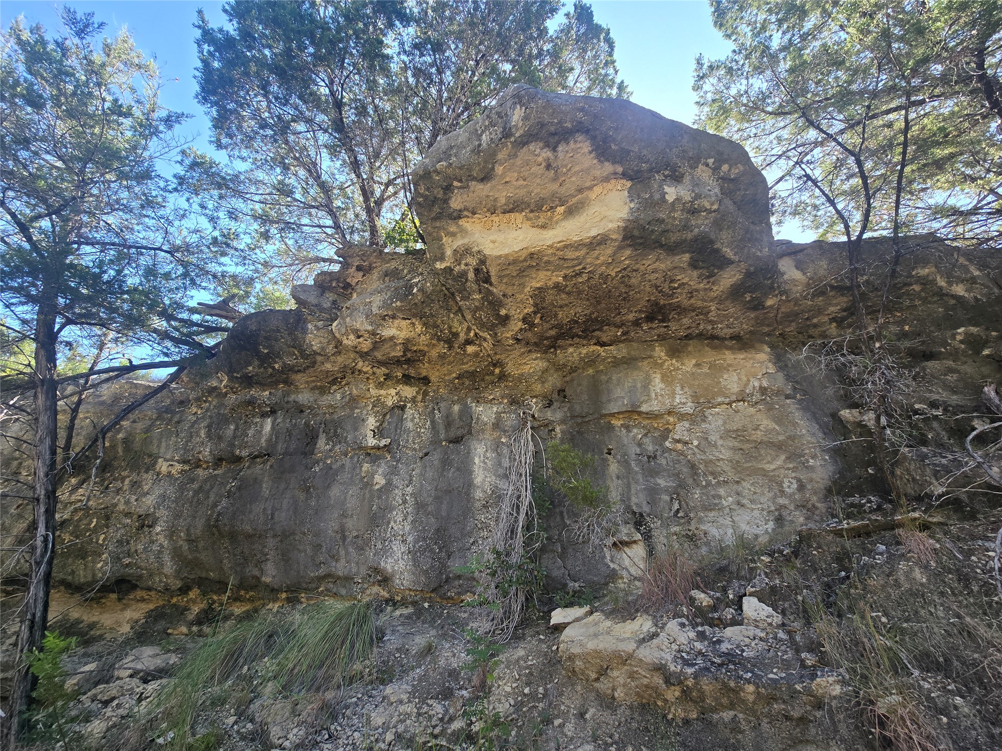 main property photo 37