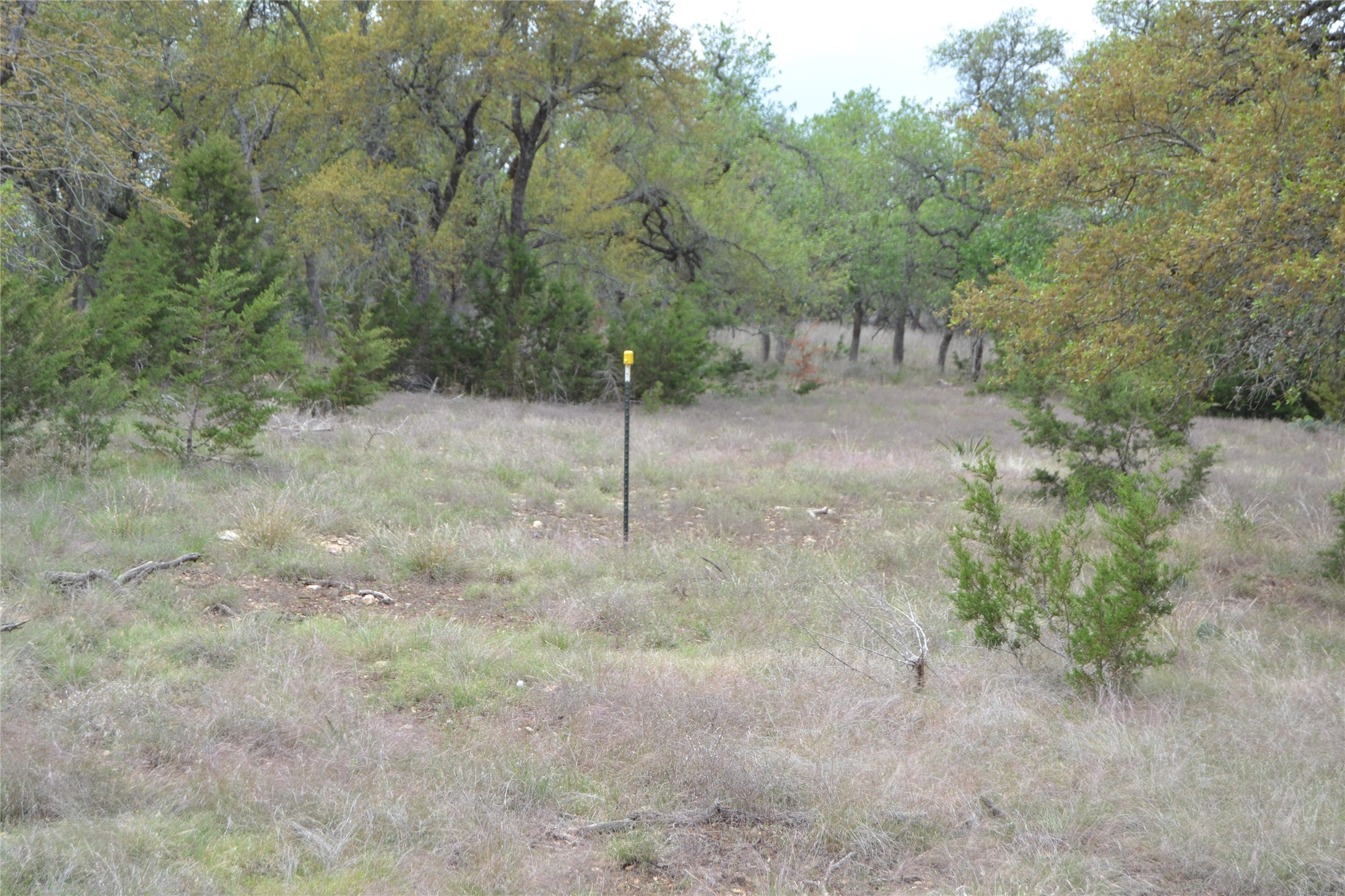 main property photo 25