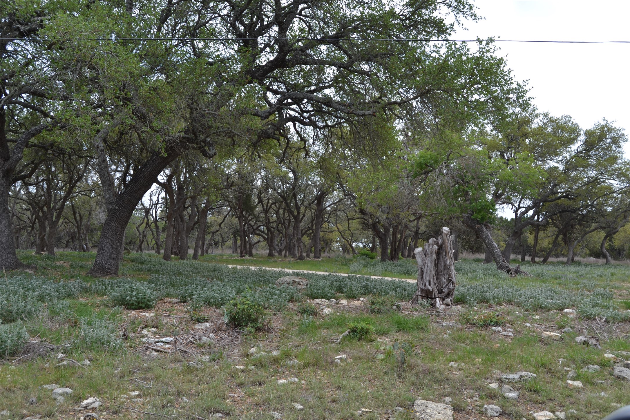 main property photo 31