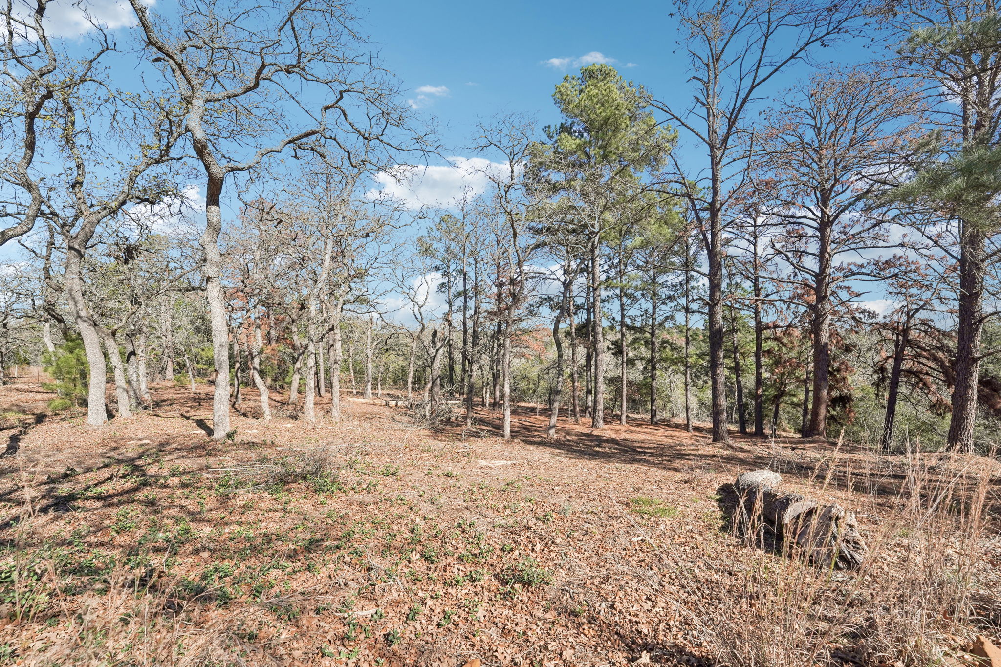 main property photo 39