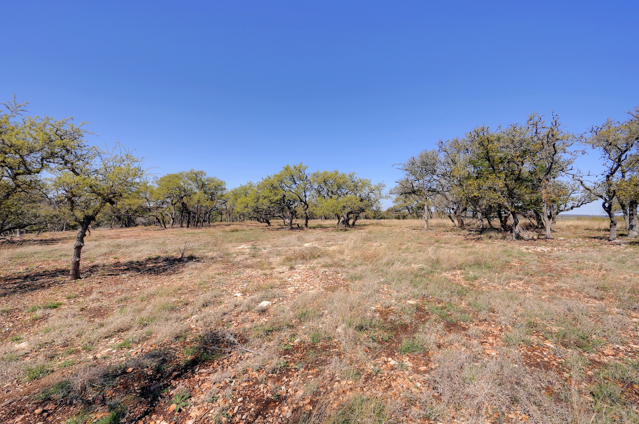 main property photo 11