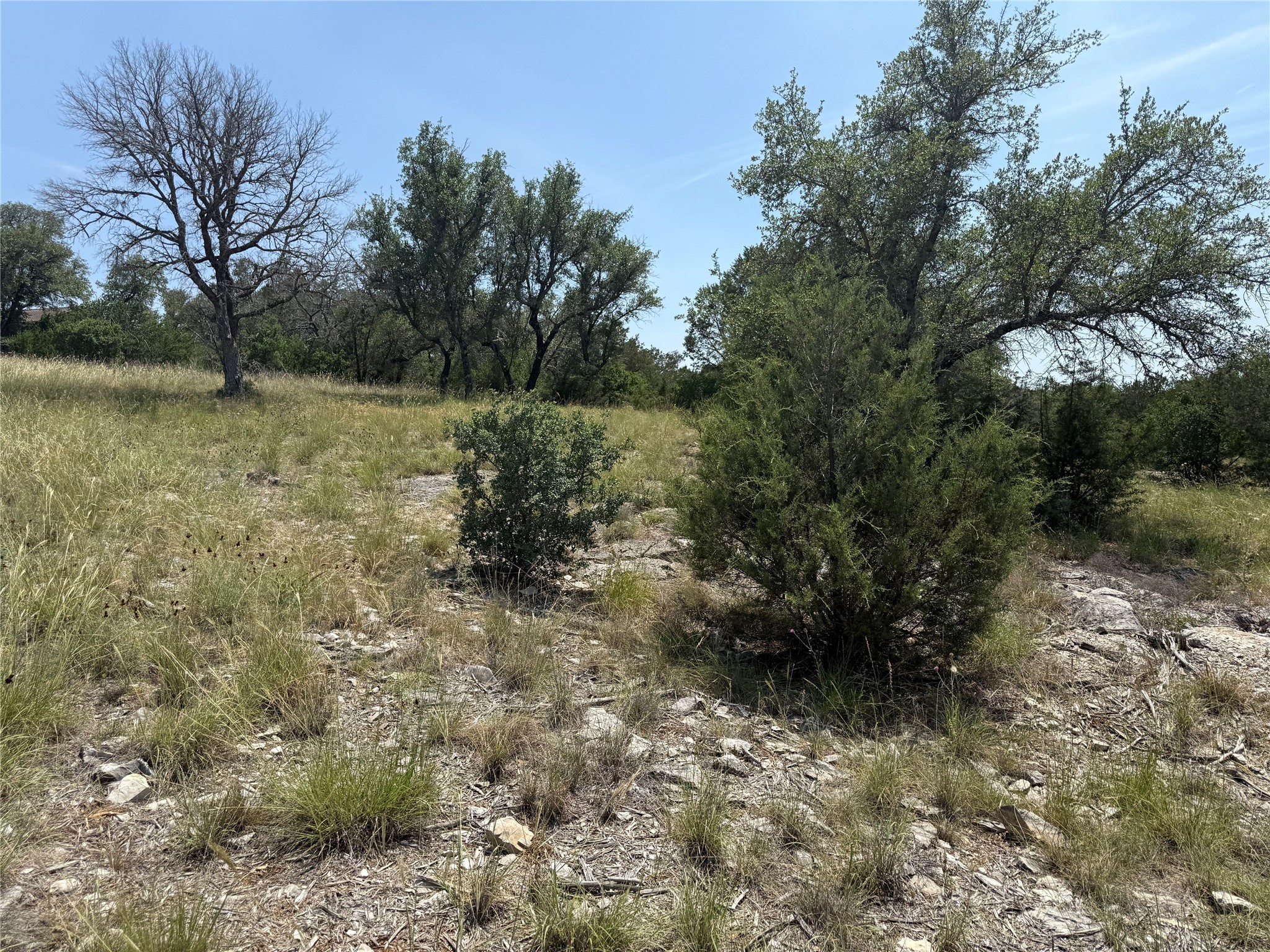 main property photo 11