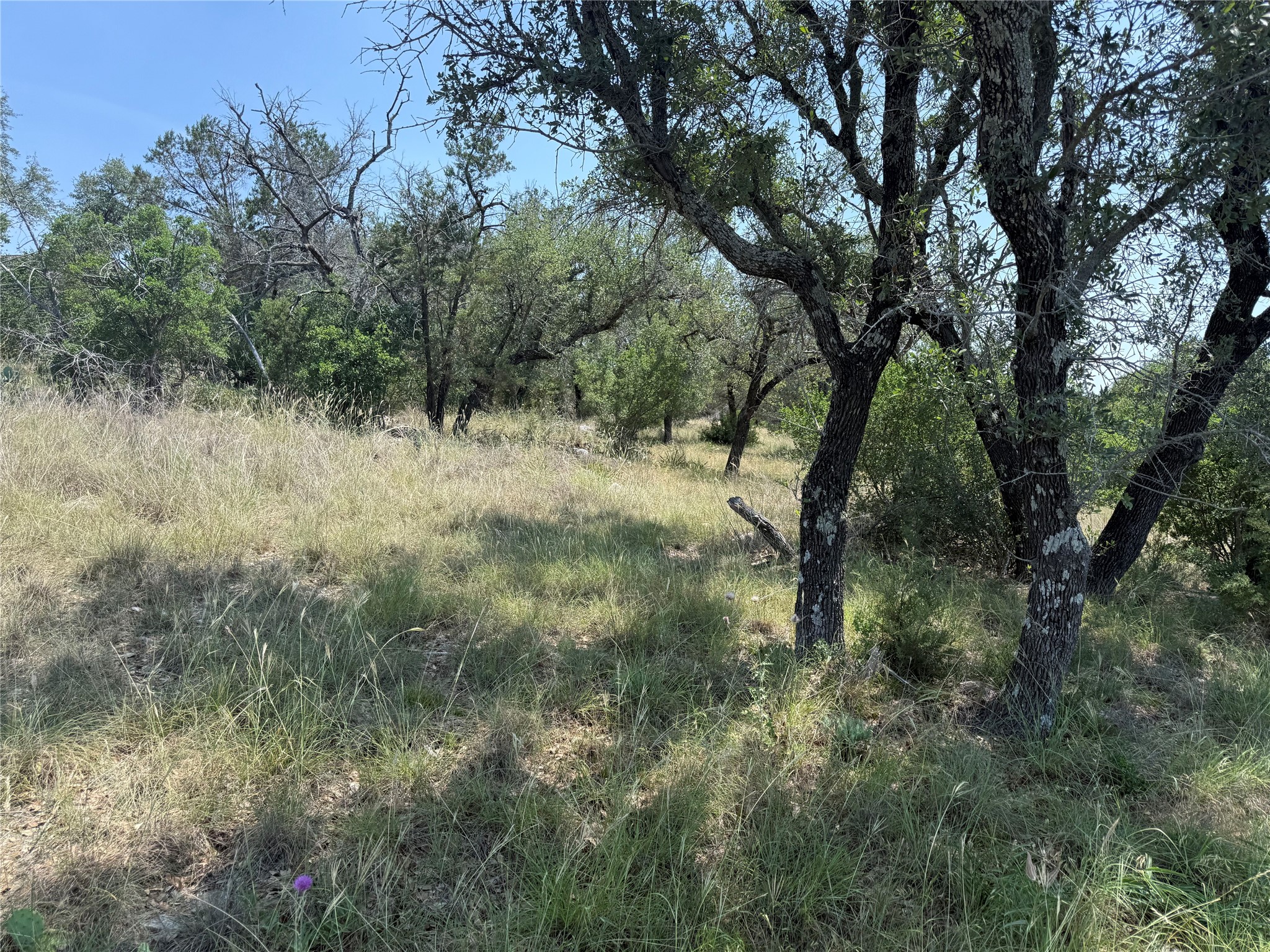 main property photo 17