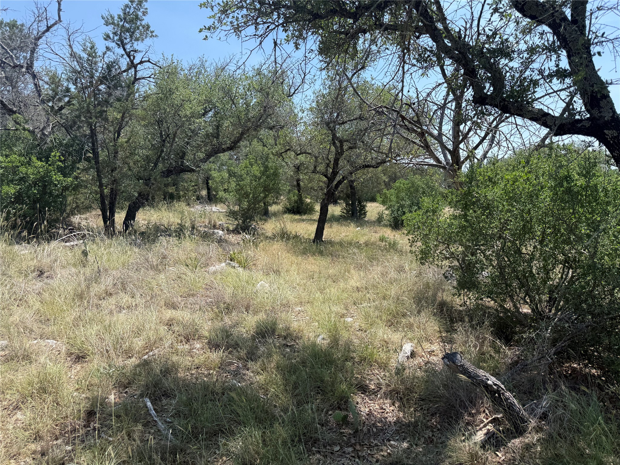main property photo 19
