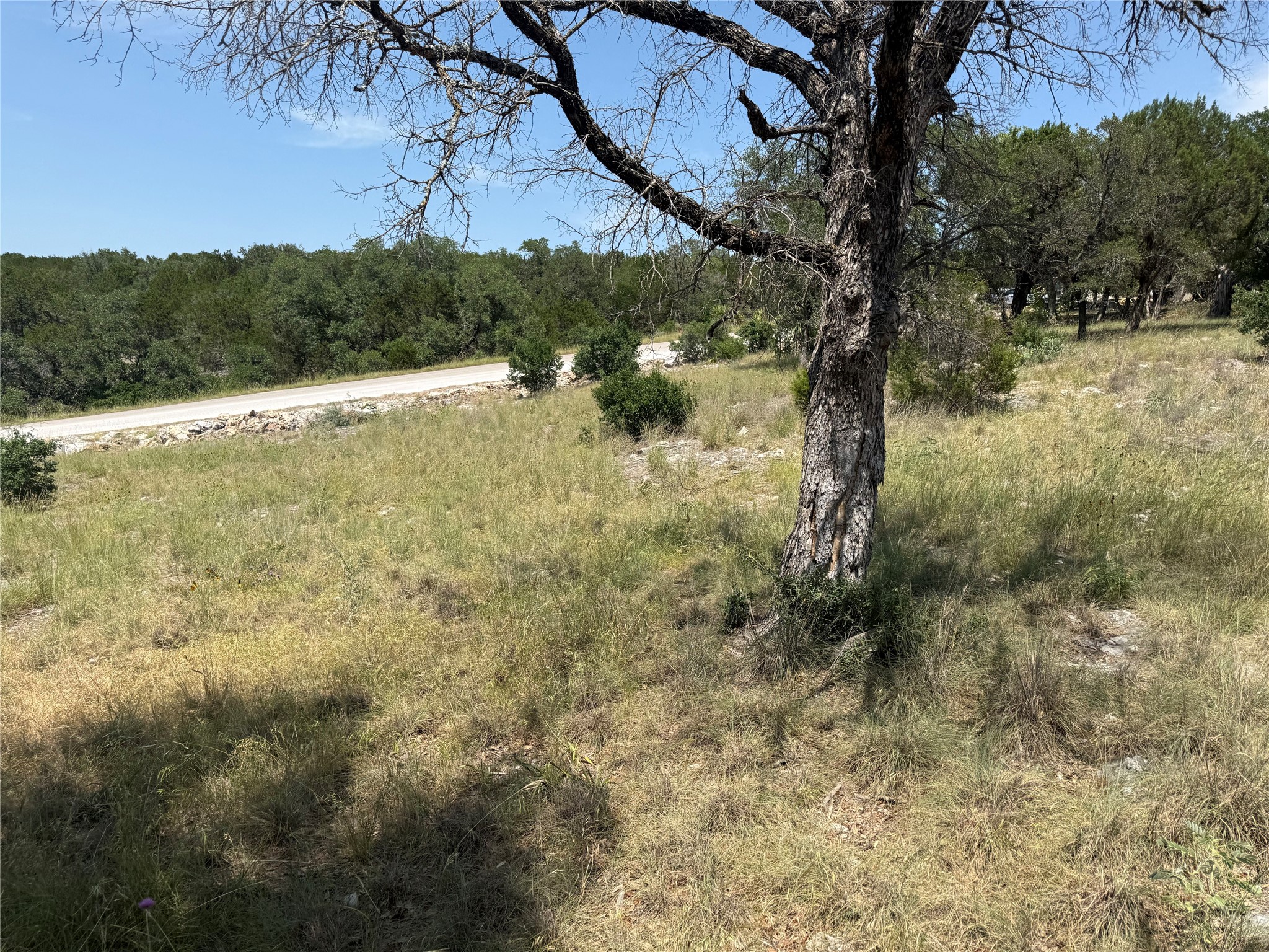 main property photo 23