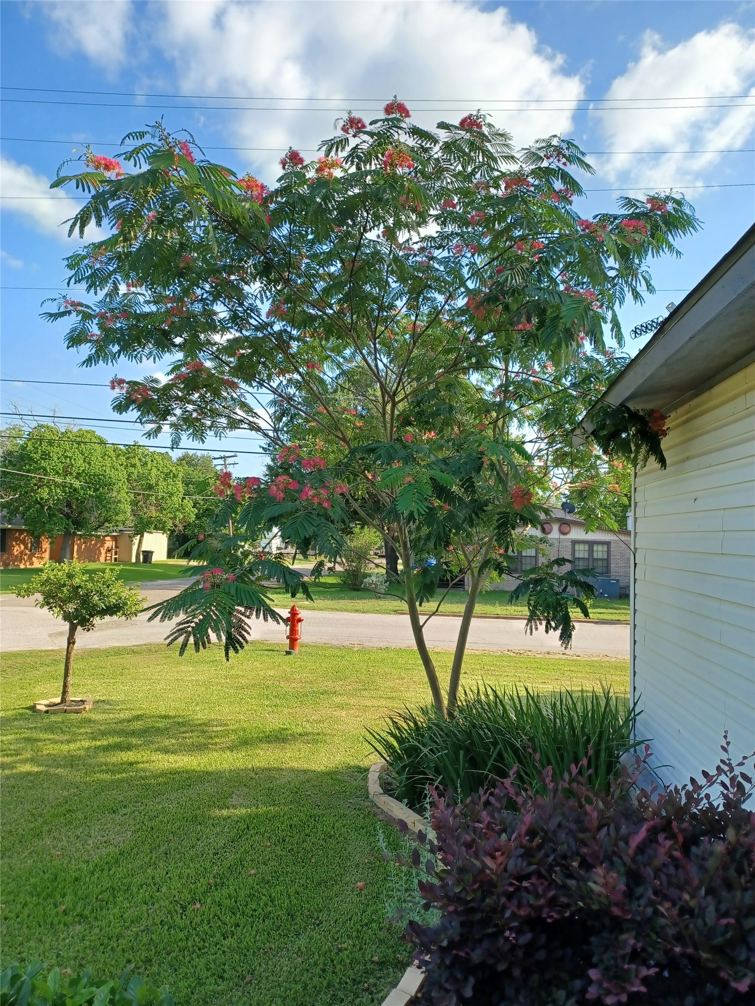 main property photo 33
