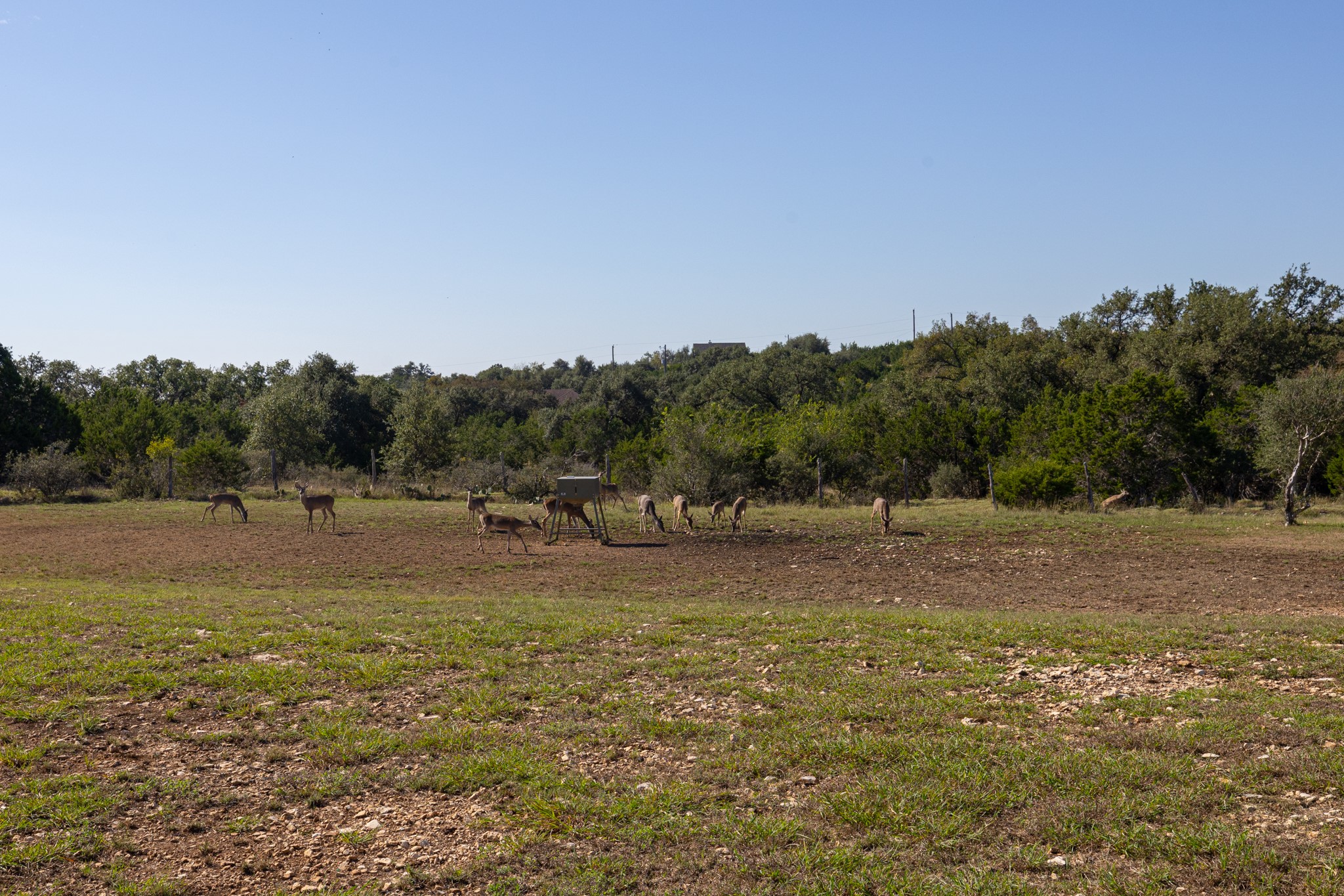 main property photo 37