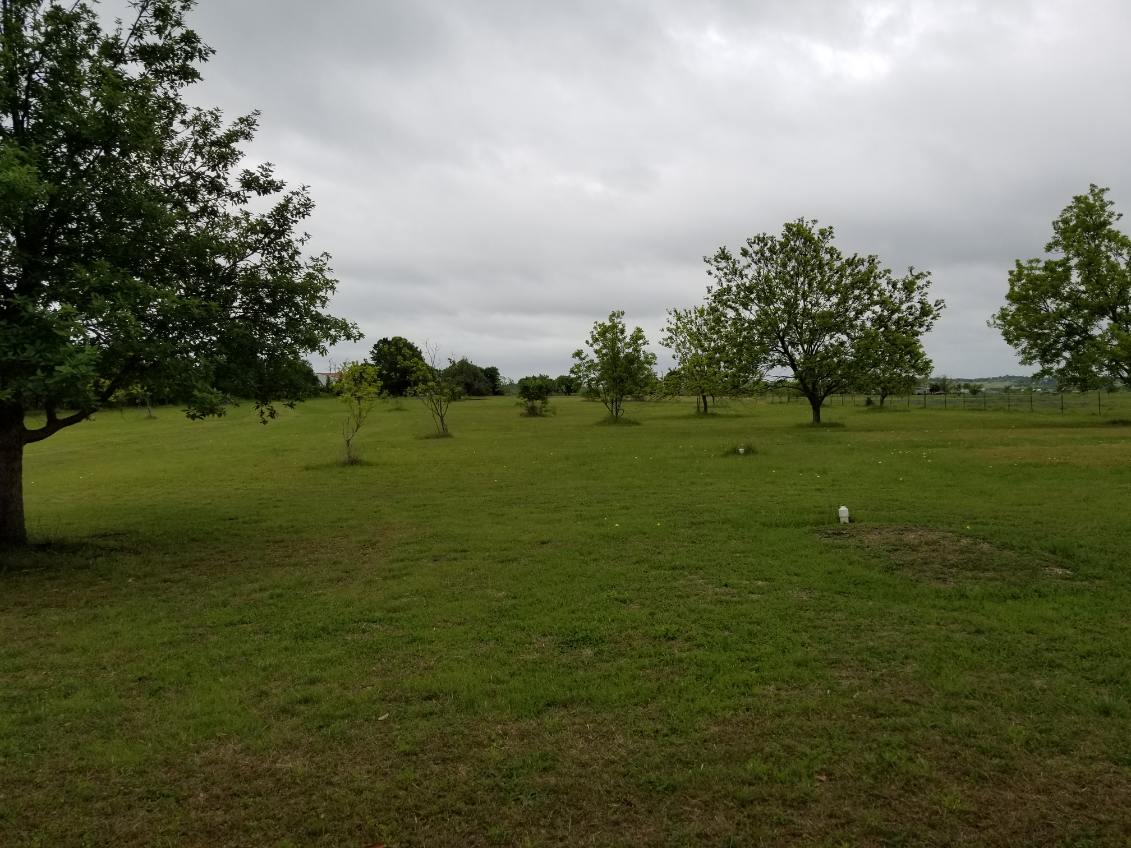 main property photo 4