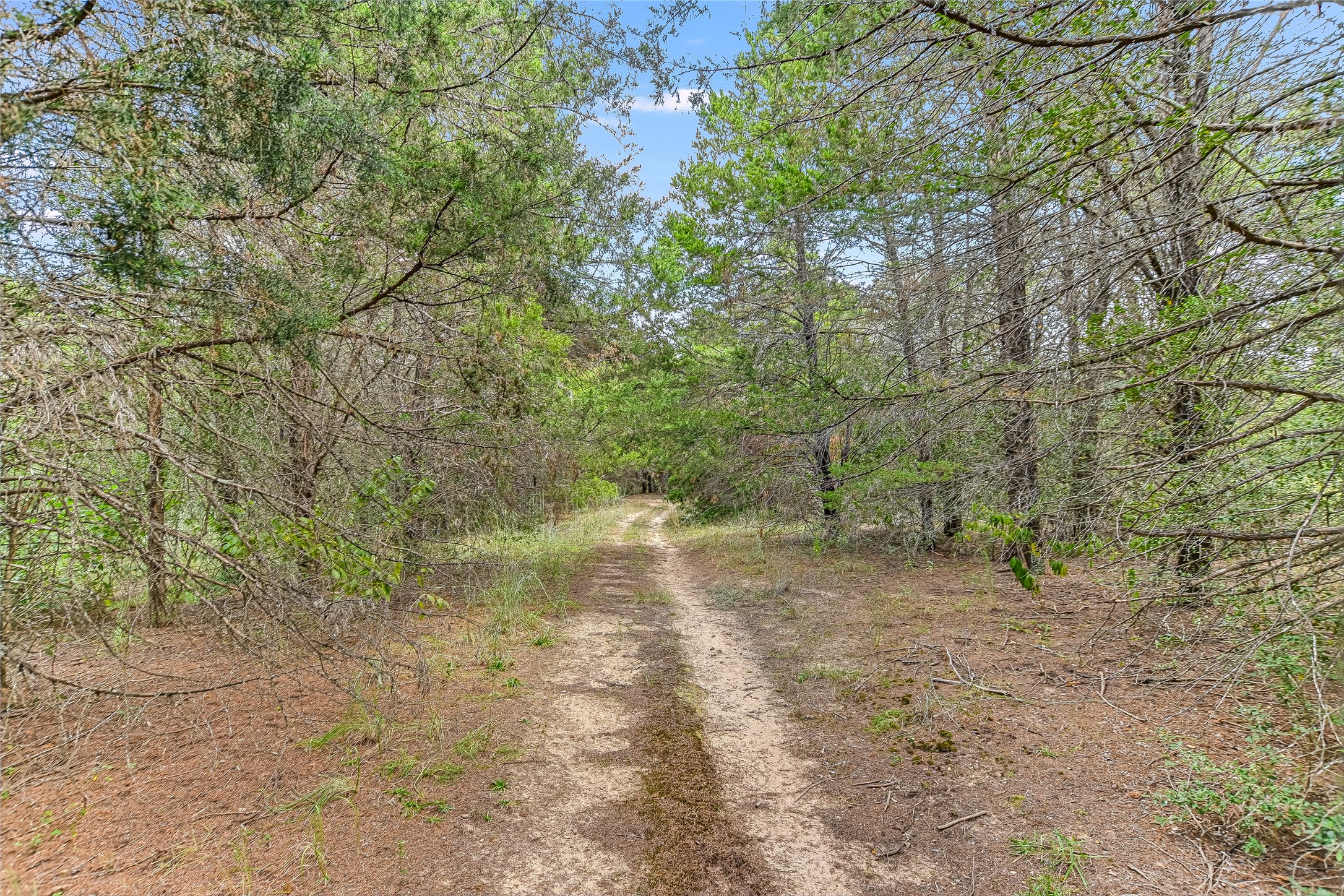 main property photo 26