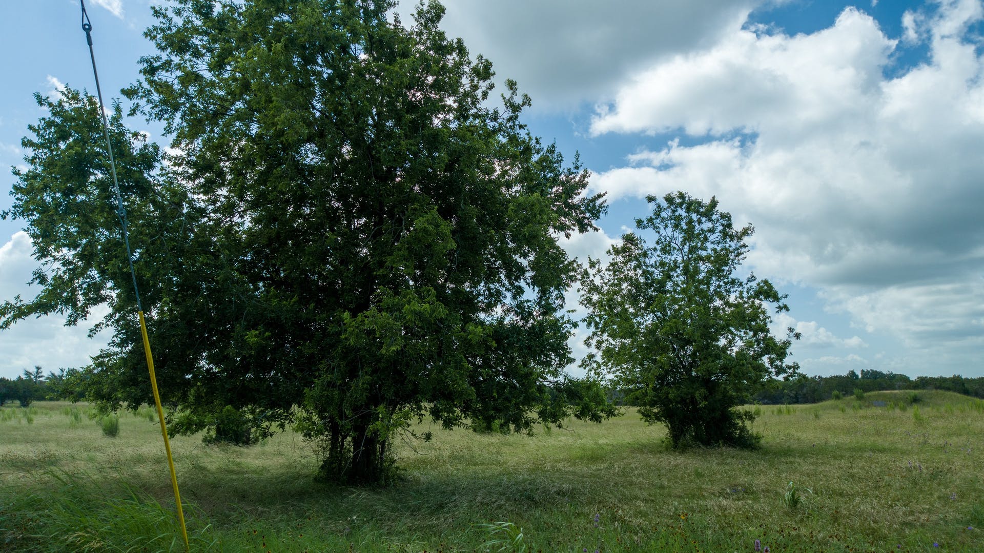 main property photo 30
