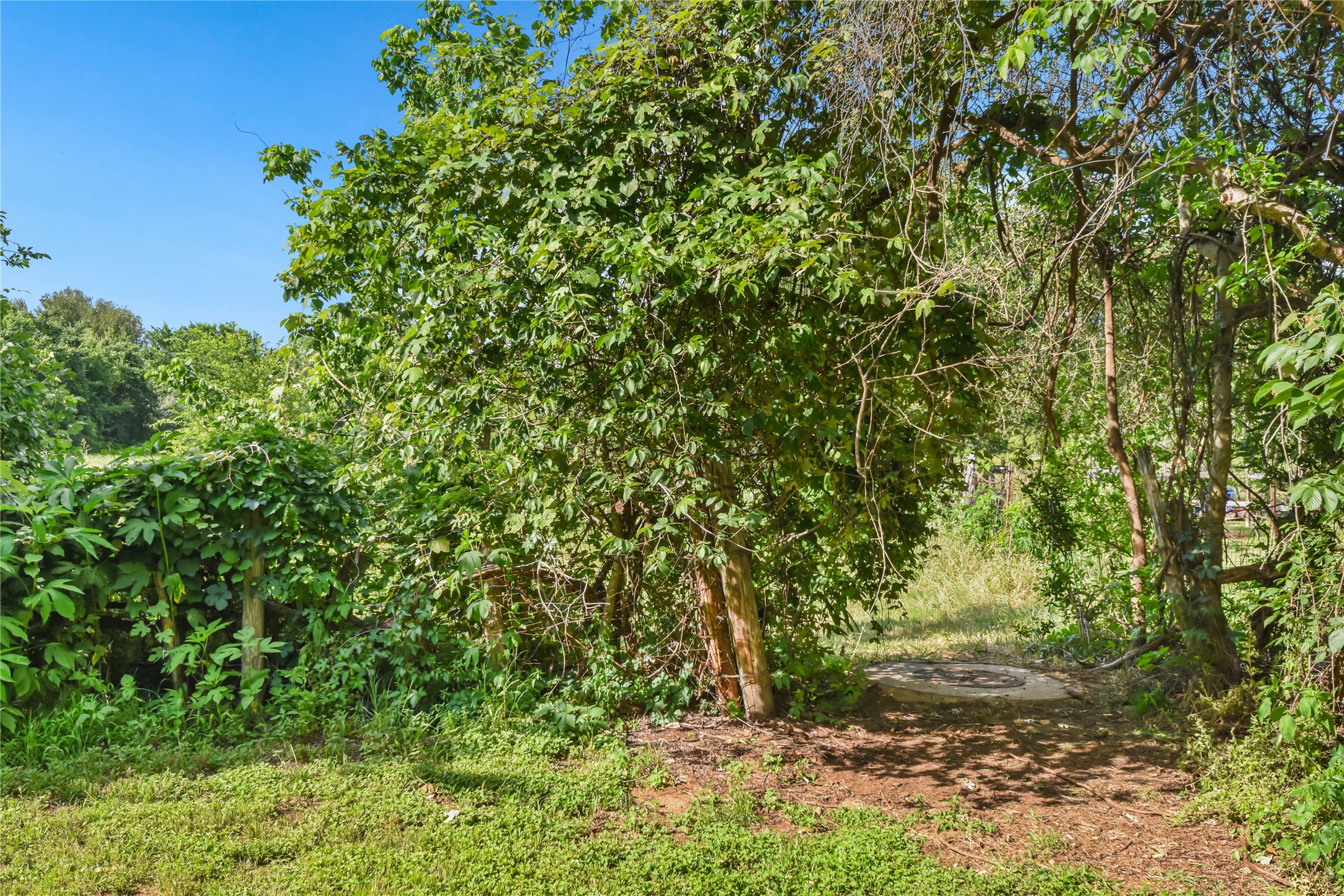 main property photo 35