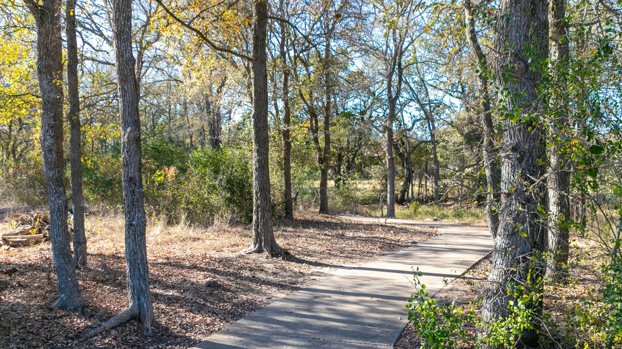main property photo 10