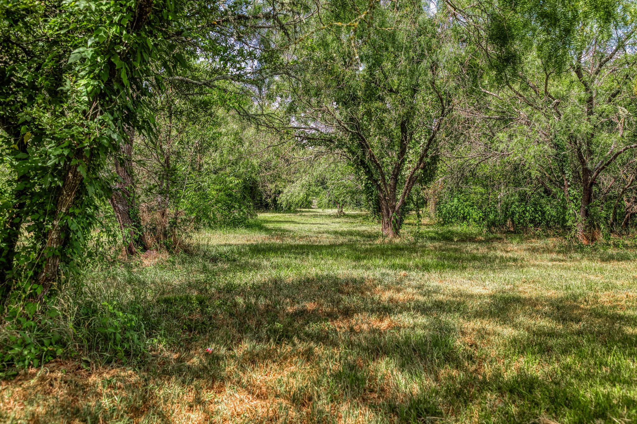 main property photo 27