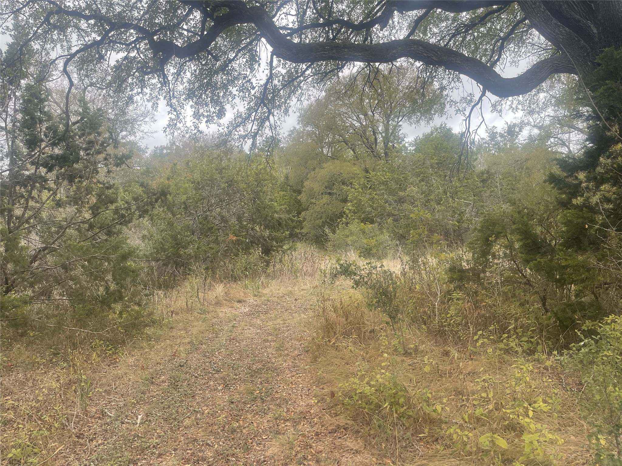 main property photo 11