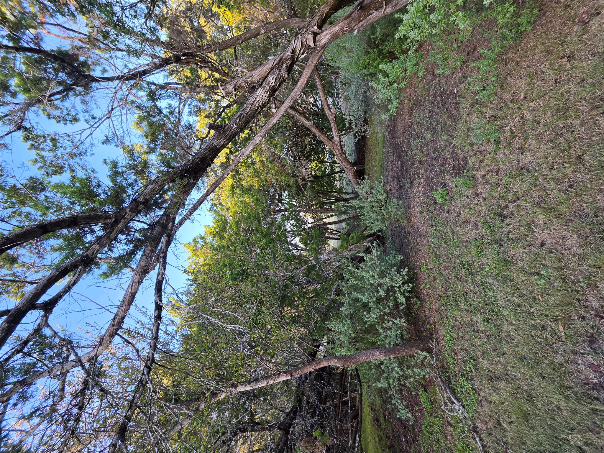 main property photo 27