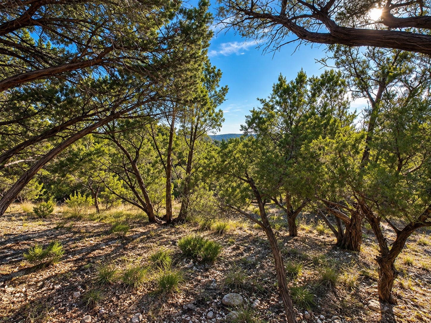 main property photo 9