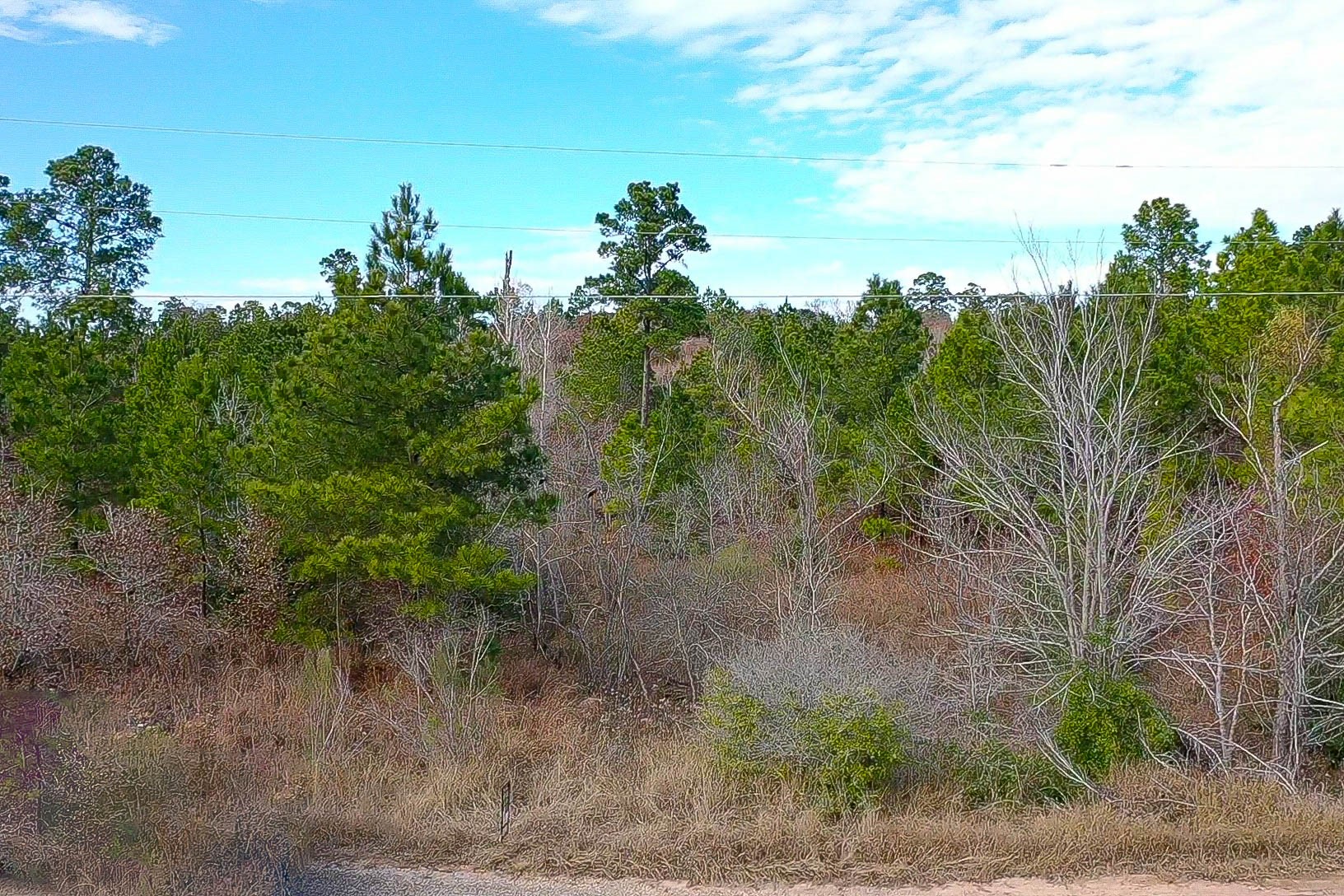 main property photo 8