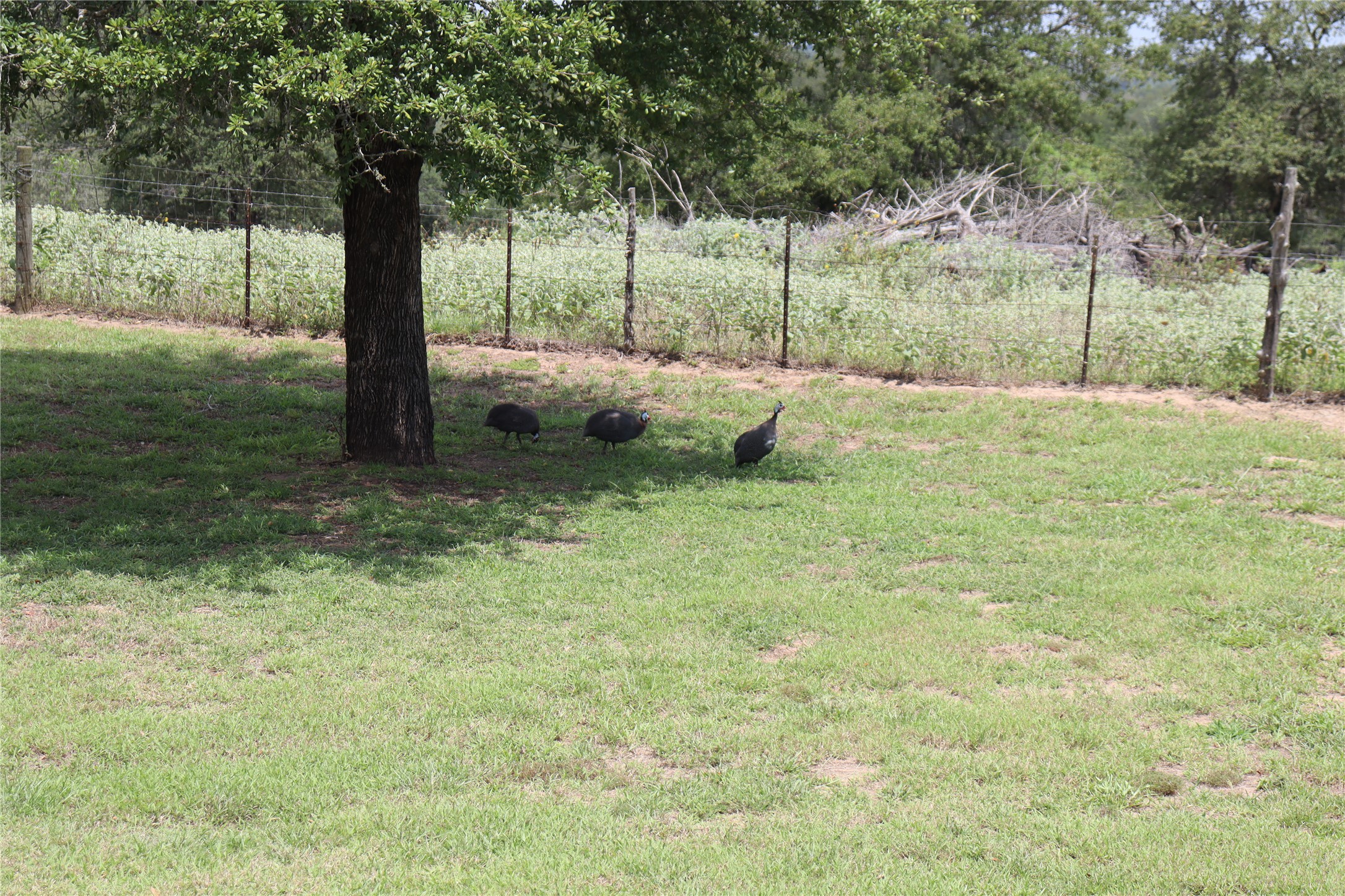 main property photo 6