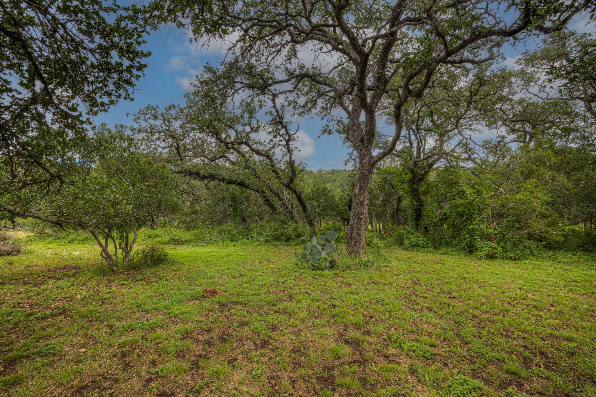 main property photo 25