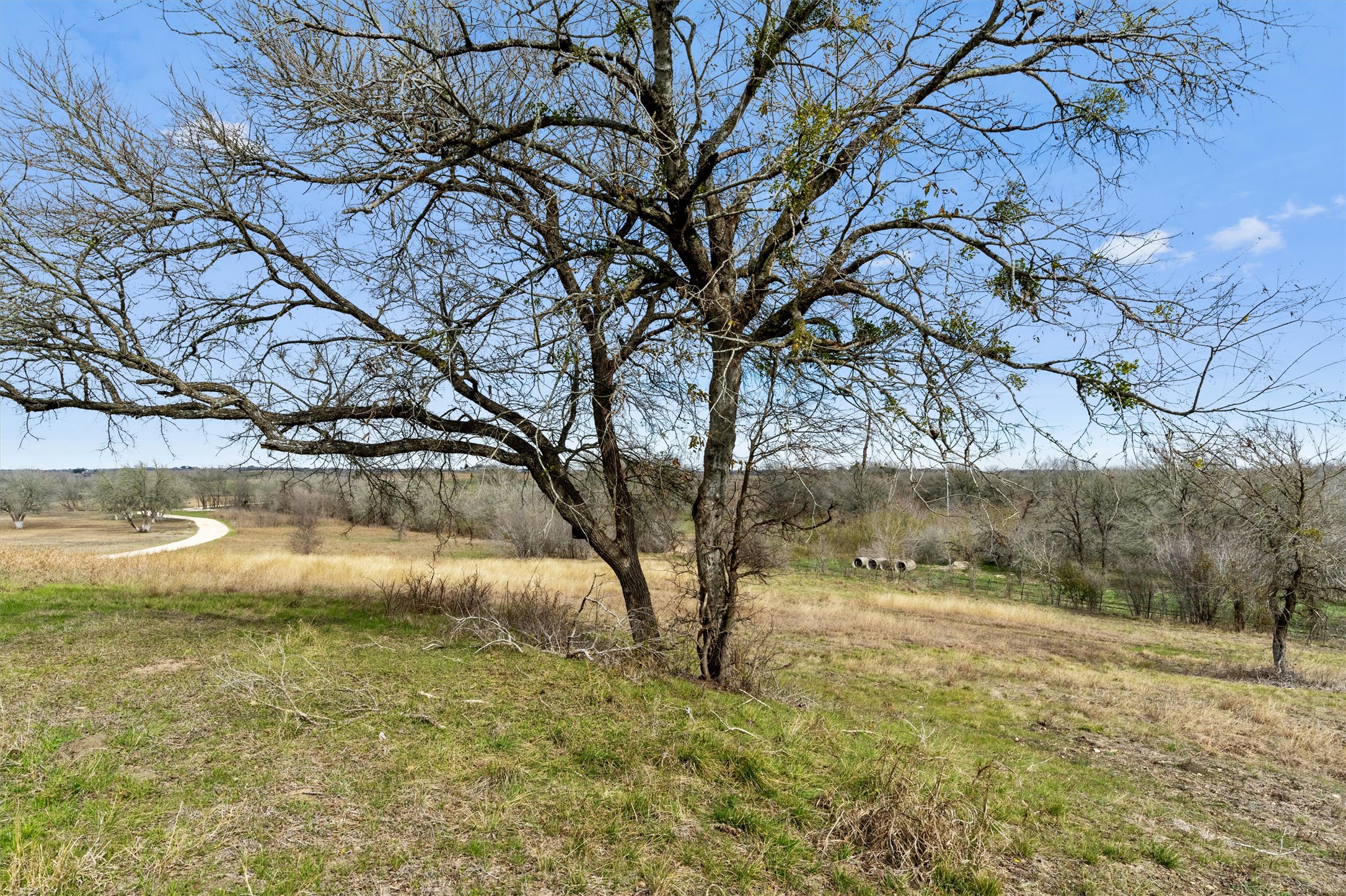 main property photo 35