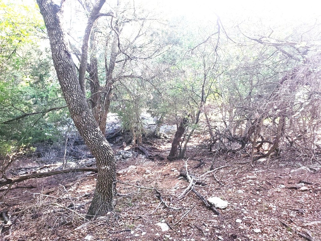 main property photo 14