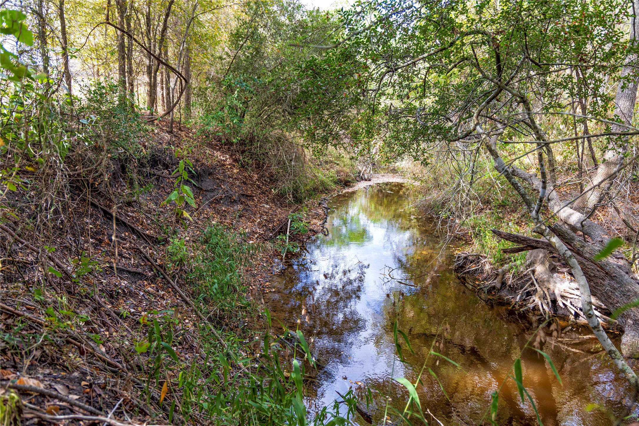 main property photo 15