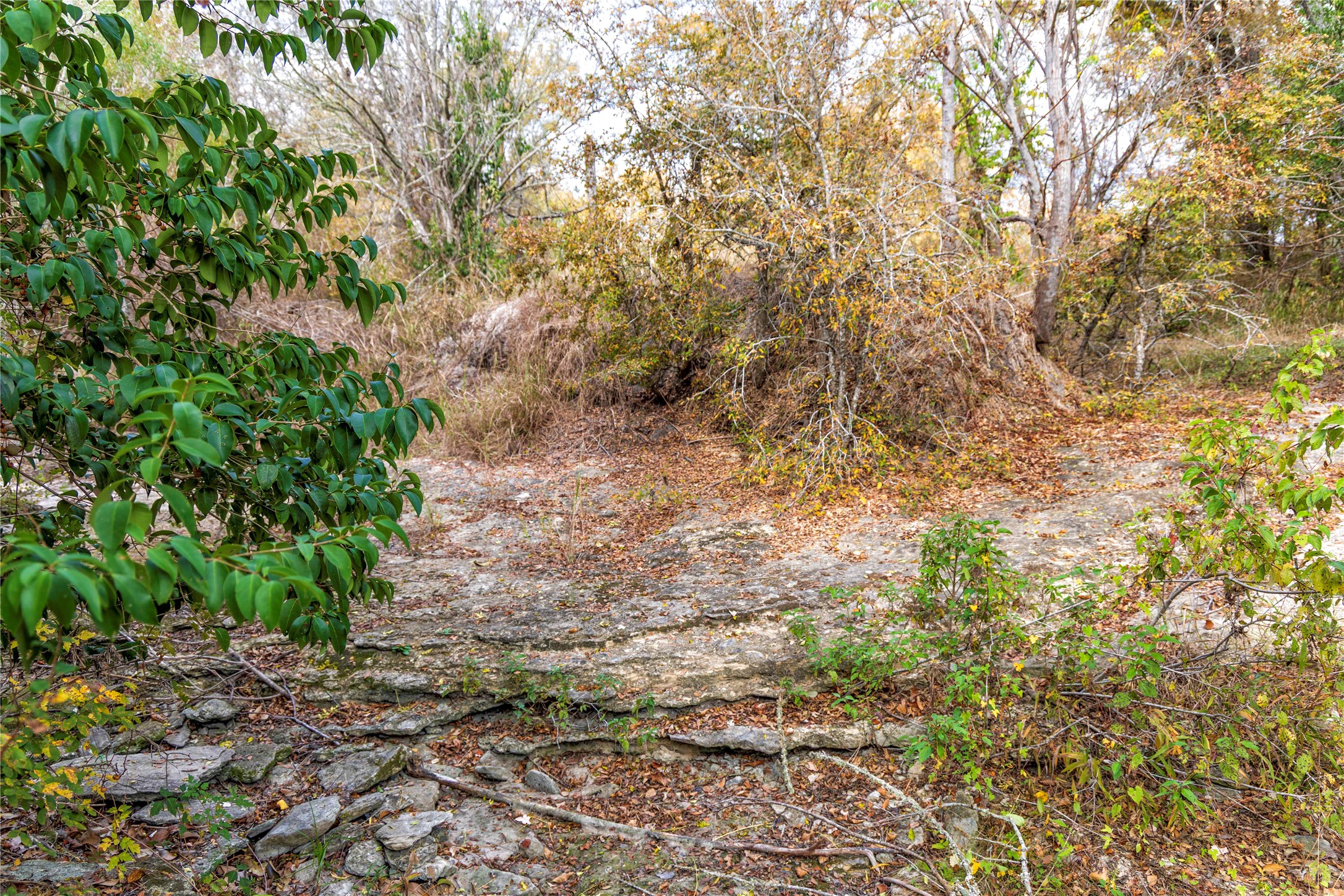main property photo 32