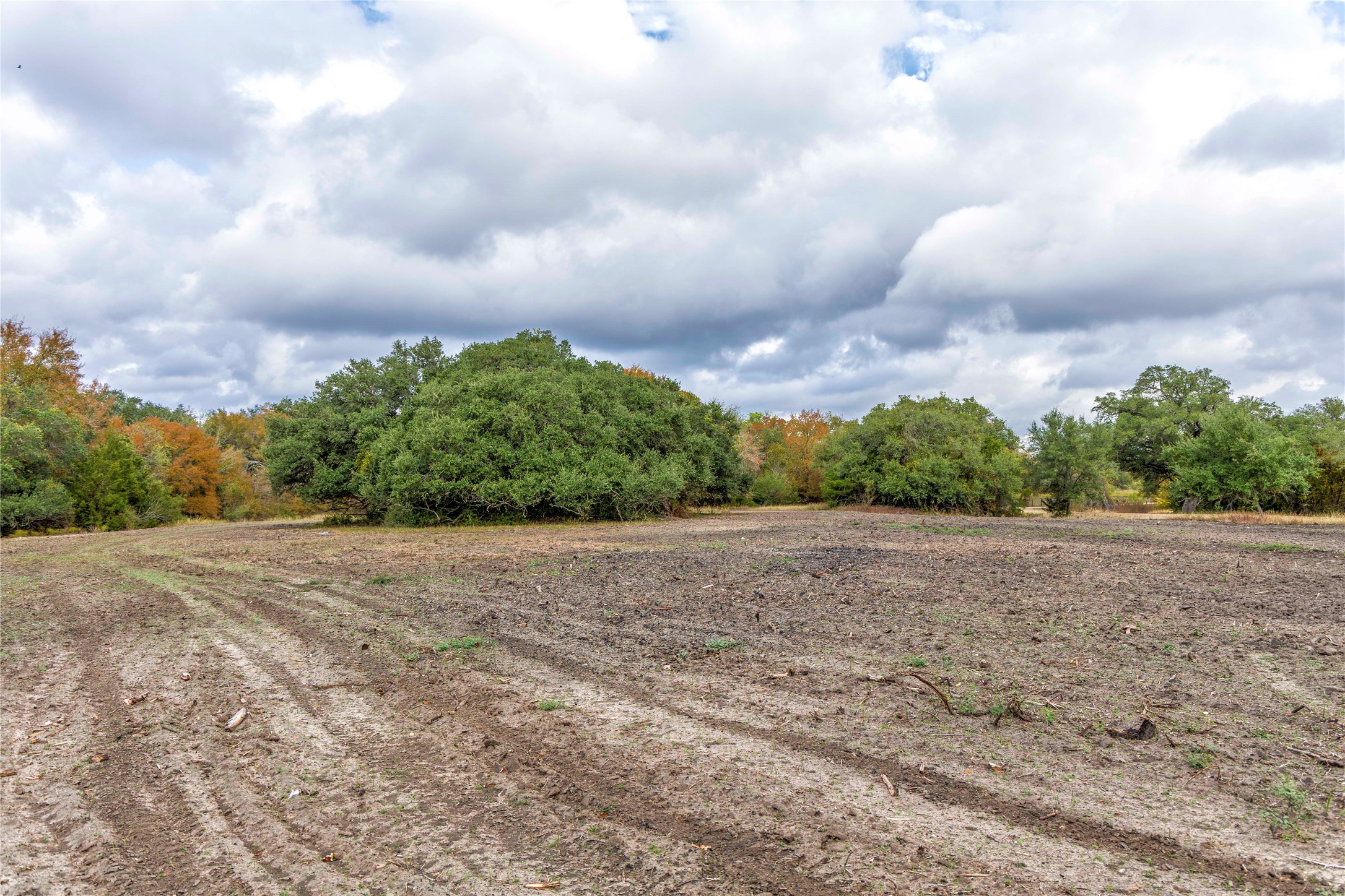 main property photo 7