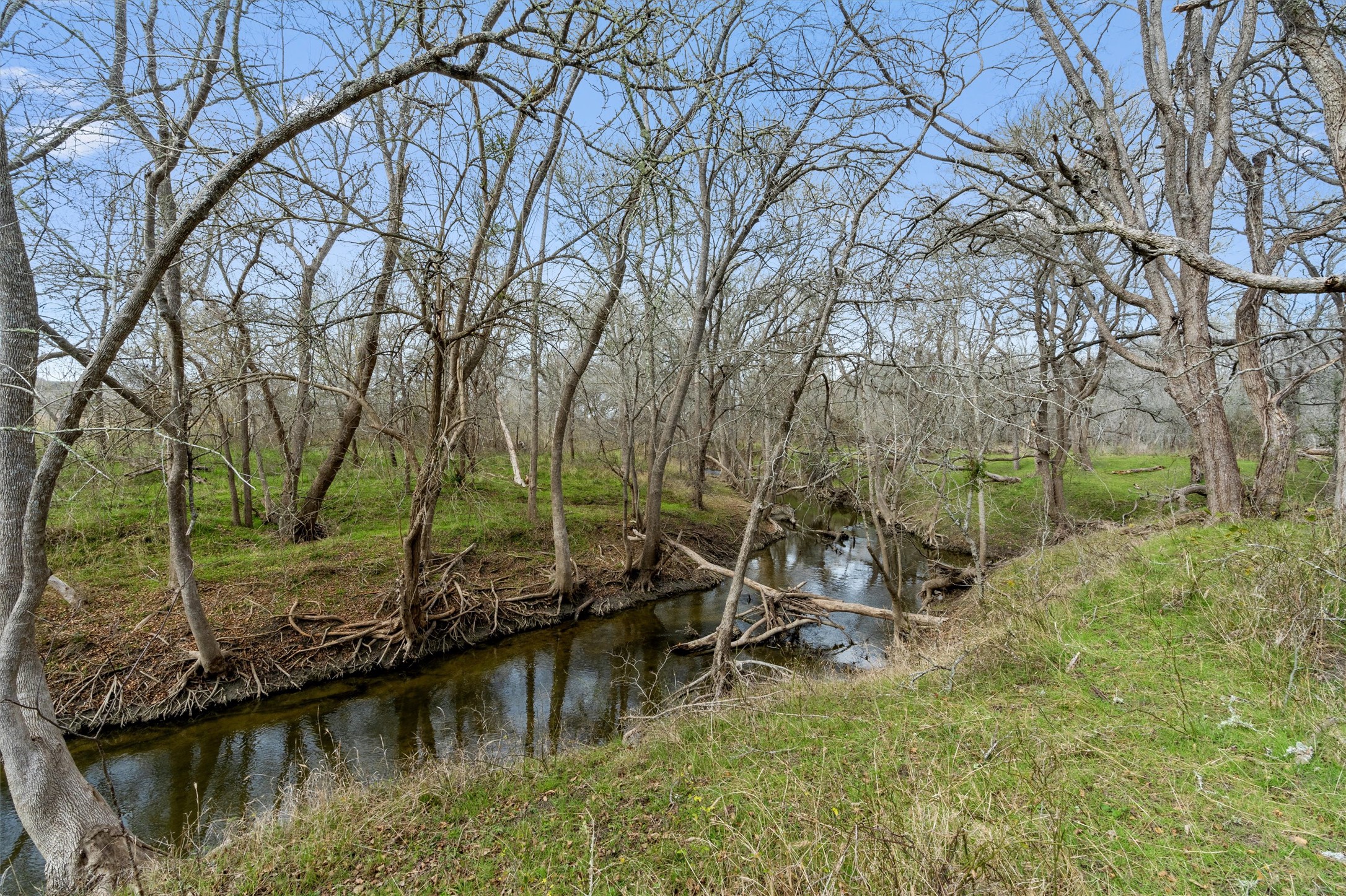 main property photo 25