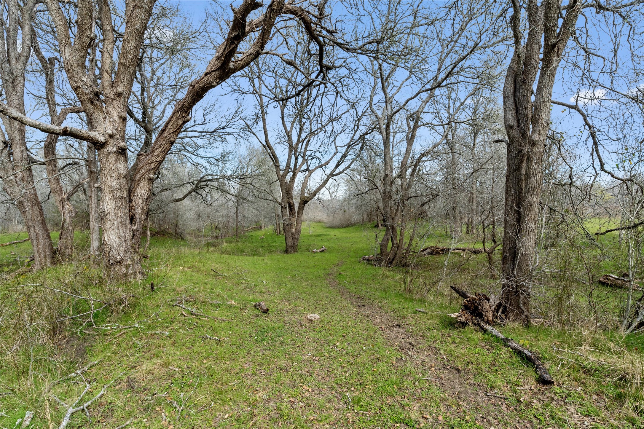 main property photo 26