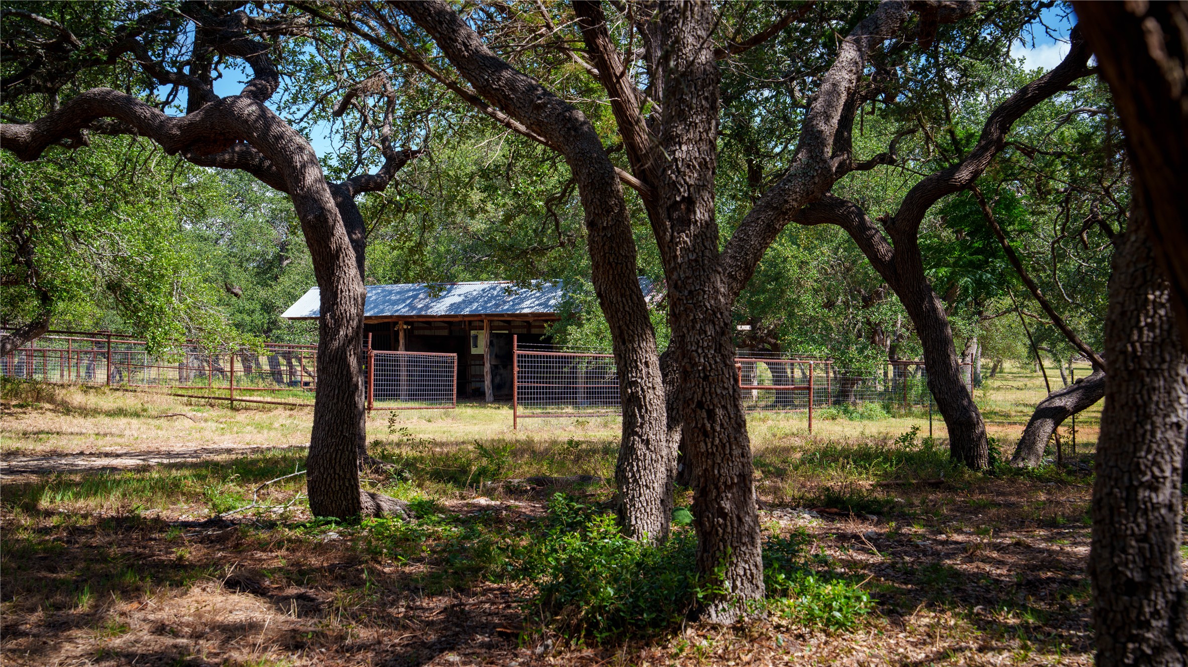 main property photo 6