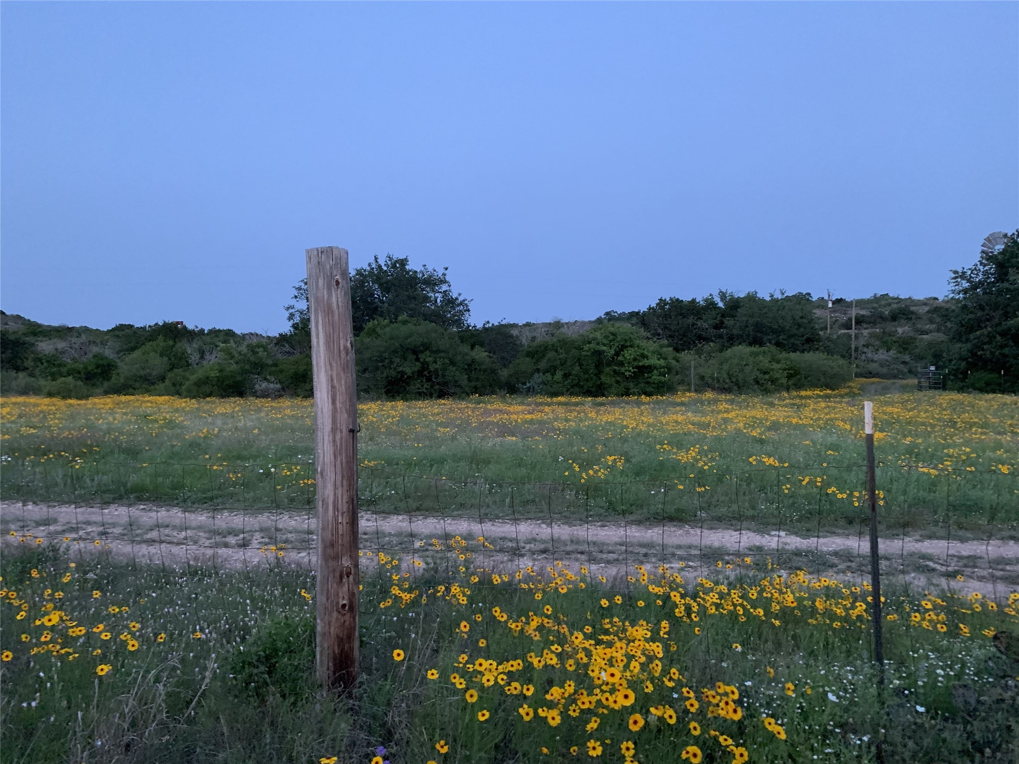main property photo 31