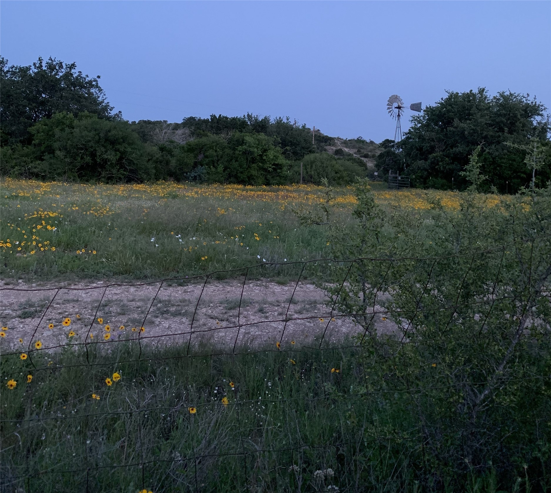 main property photo 33