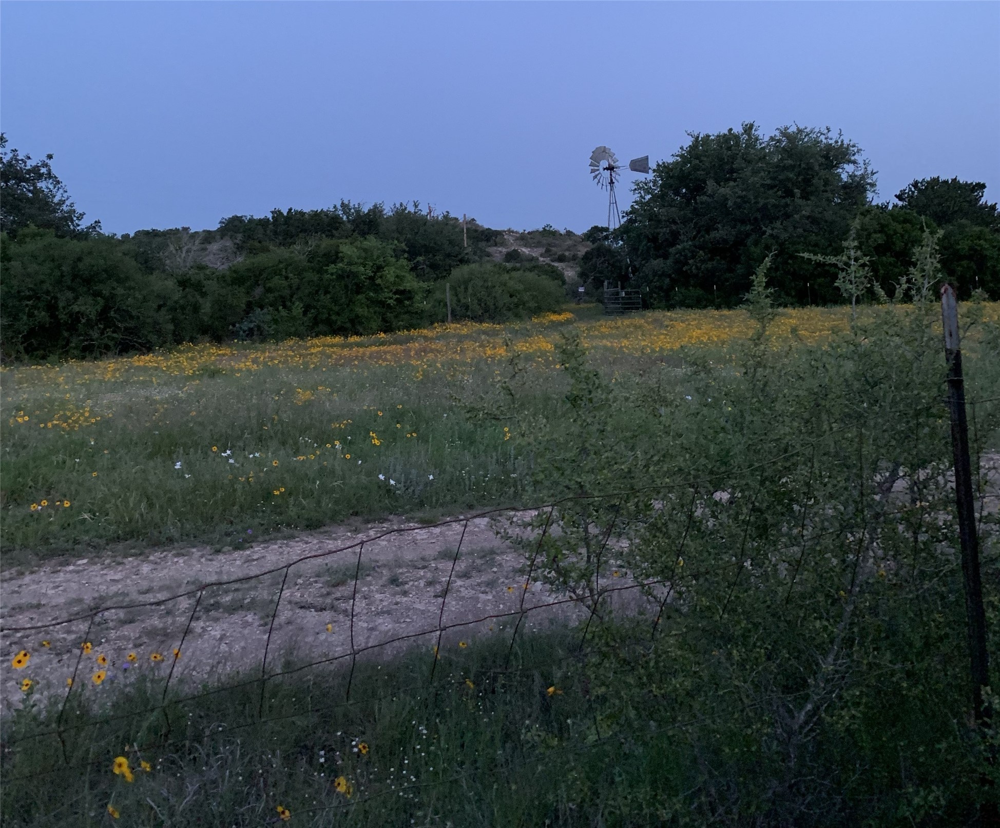 main property photo 34
